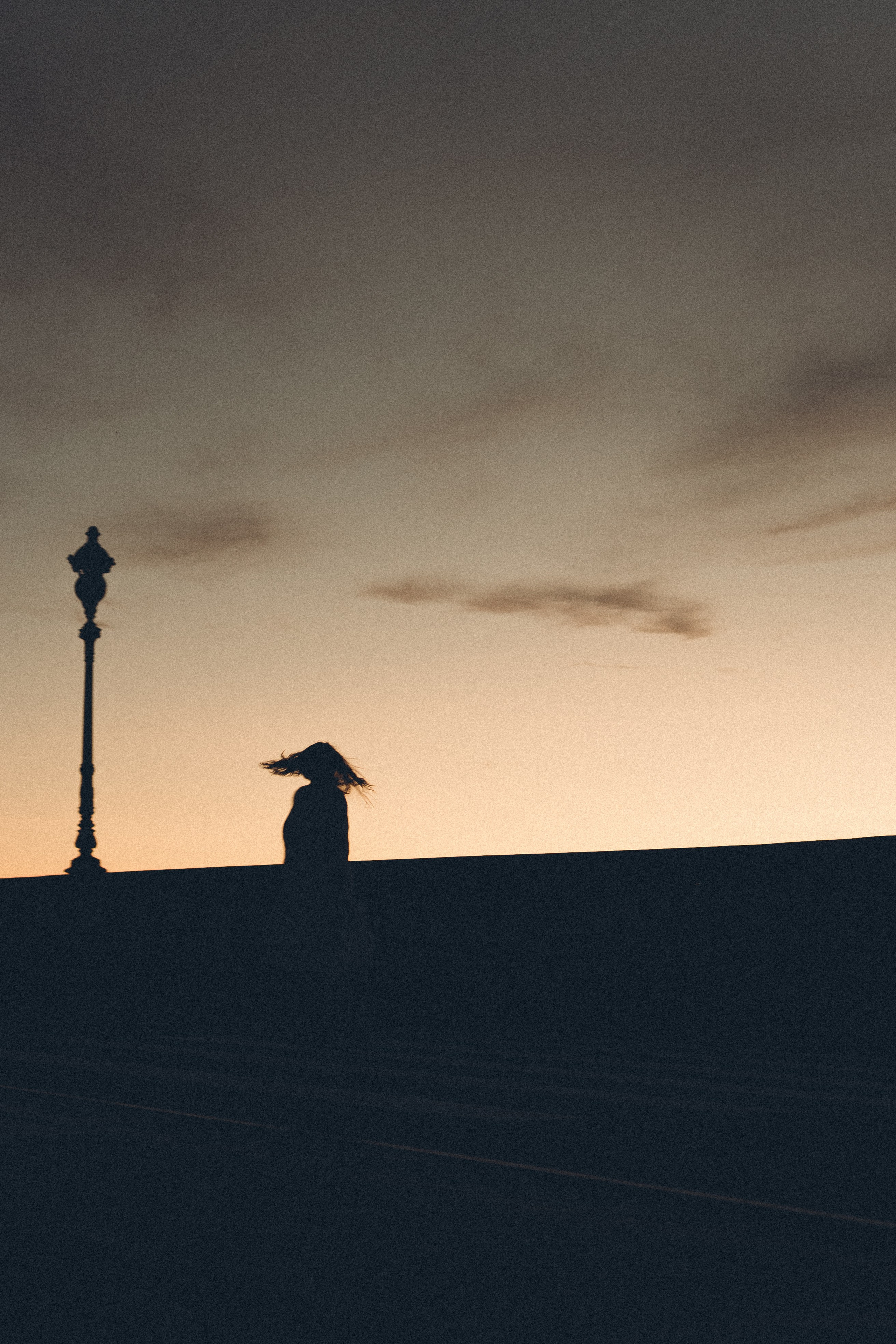 РАССВЕТ С РАЗВОДНЫМИ МОСТАМИ. Профессиональный фотограф, Санкт-Петербург — Виктория Богомолова