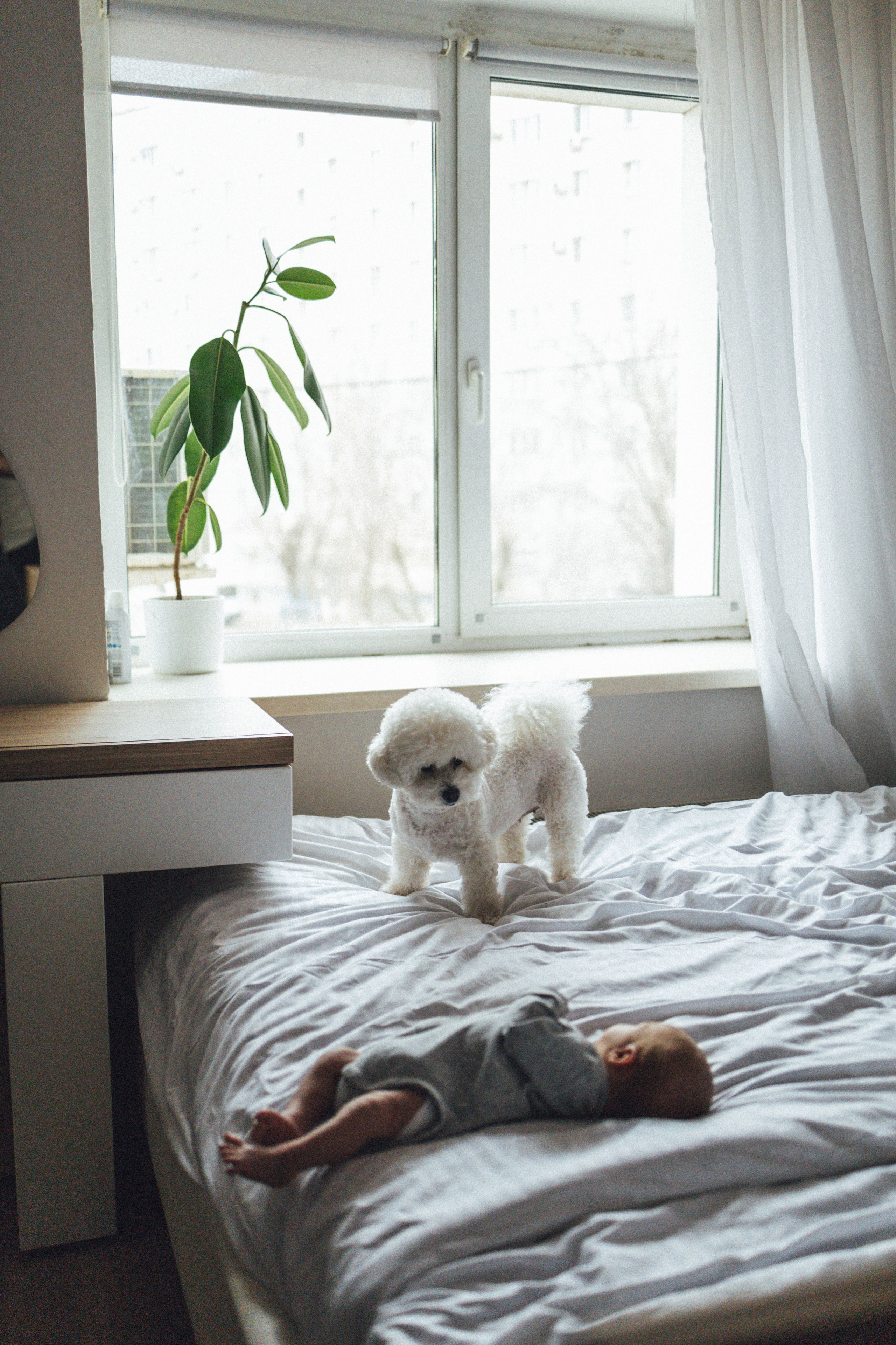 Фёдор родился