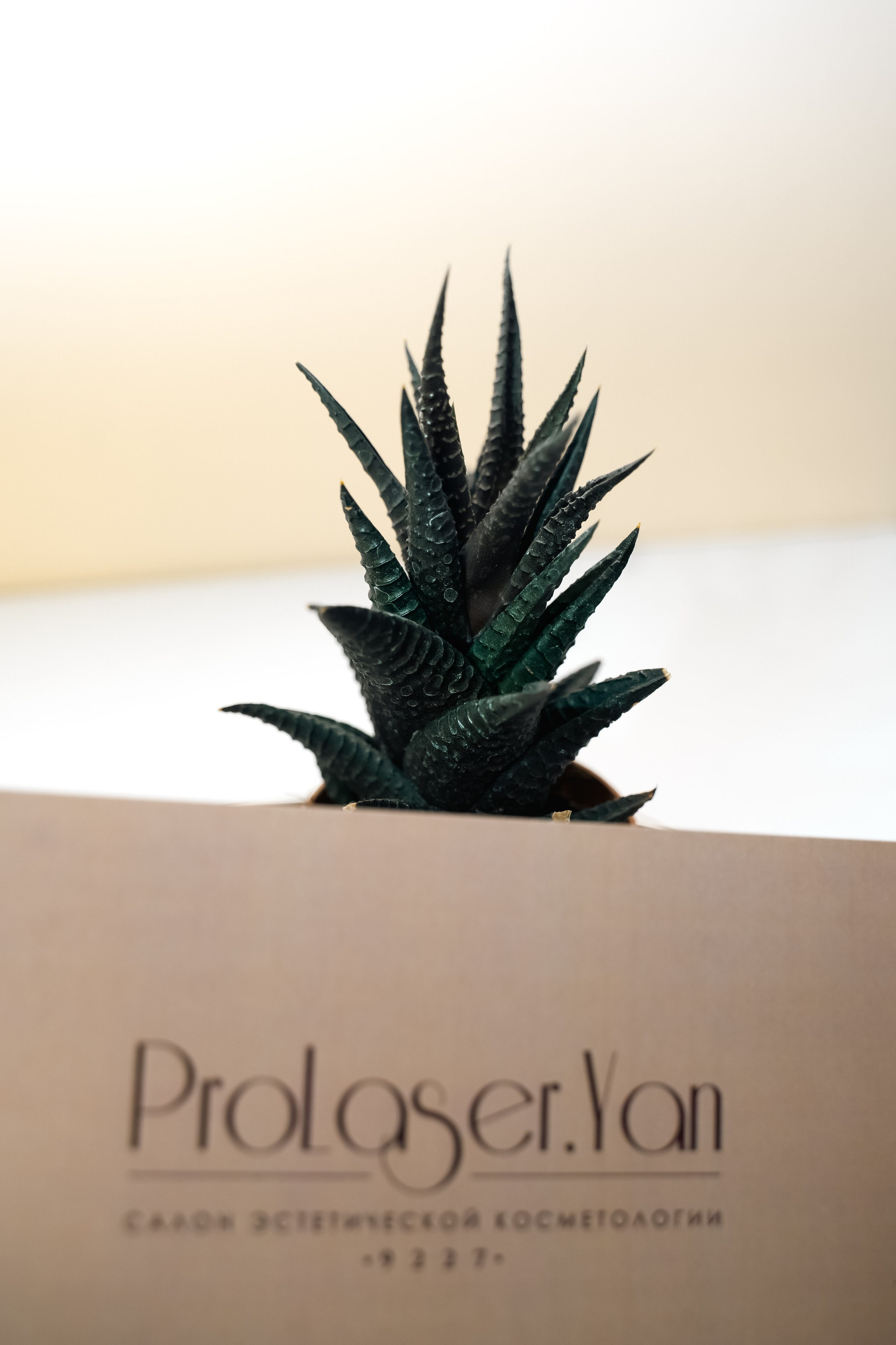 К о с м е т о л о г и я. Контент фотограф в Москве Кулич Настя