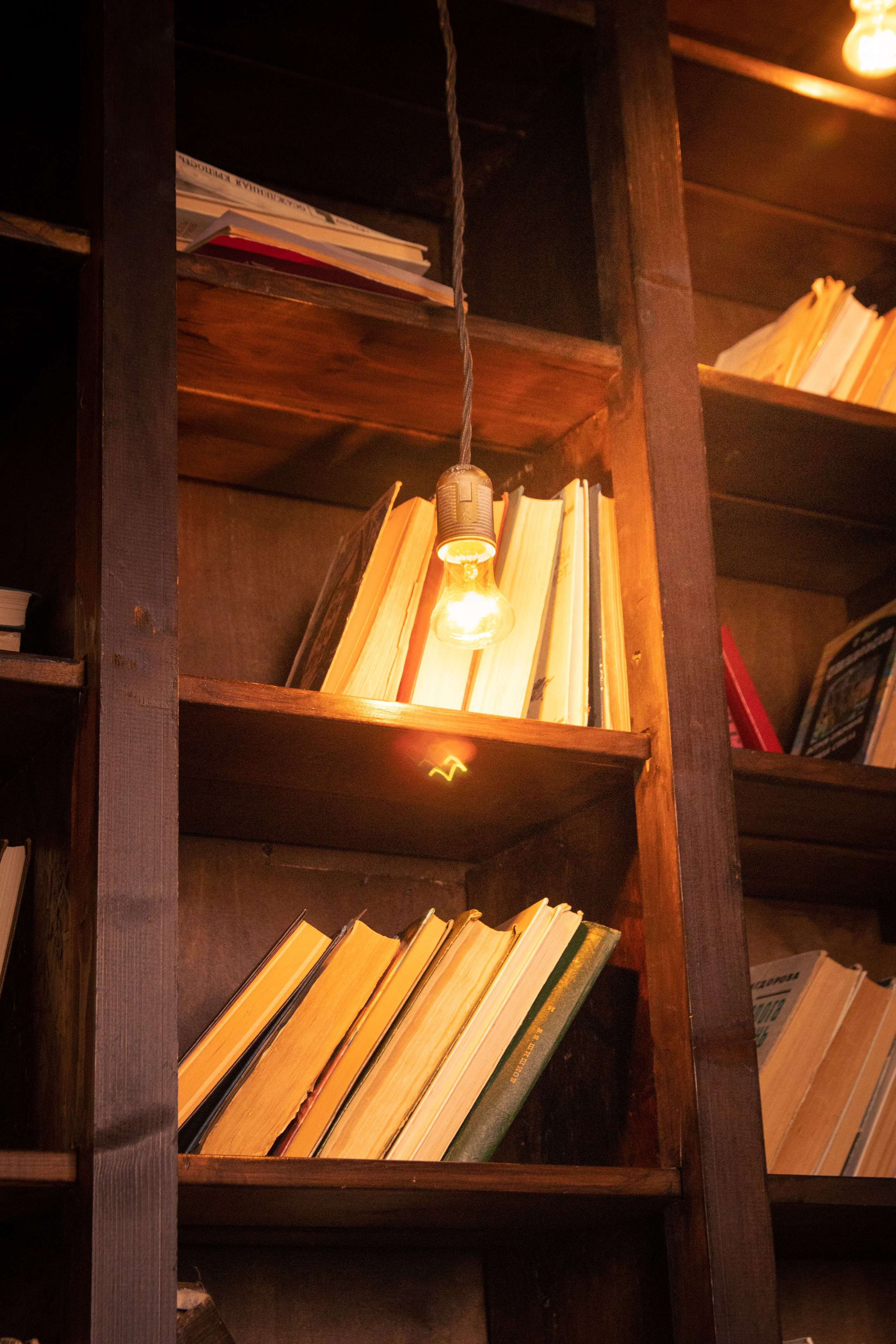 Книжная страсть. Маслухин Дмитрий — Ваш Фотограф