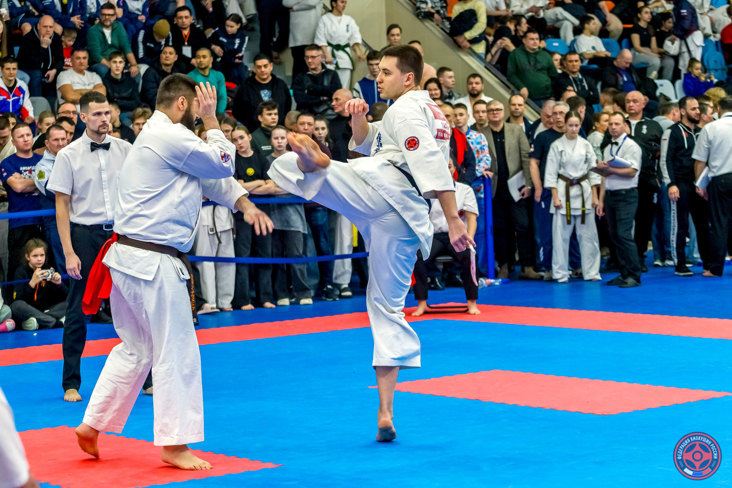 Международный турнир по киокушин «Открытый кубок Seiken». Репортажная съемка в Москве и области. Анималистика