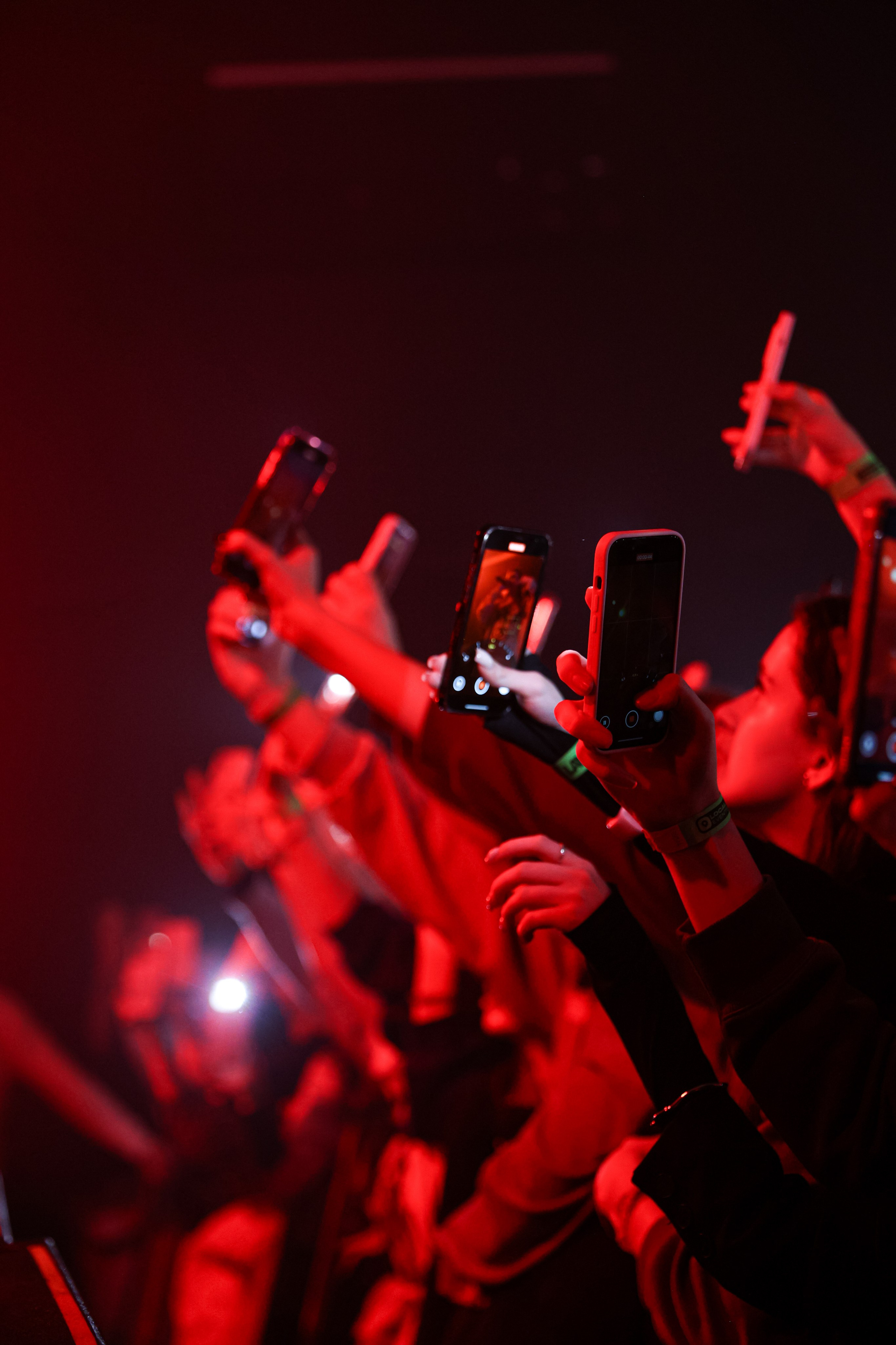 Mayot / @Порт 219 / Краснодар. Концертный фотограф в Краснодаре