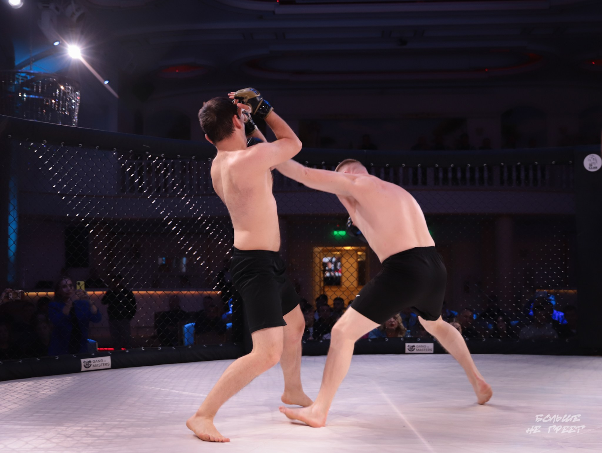 SABR FIGHTING. Больше не греет