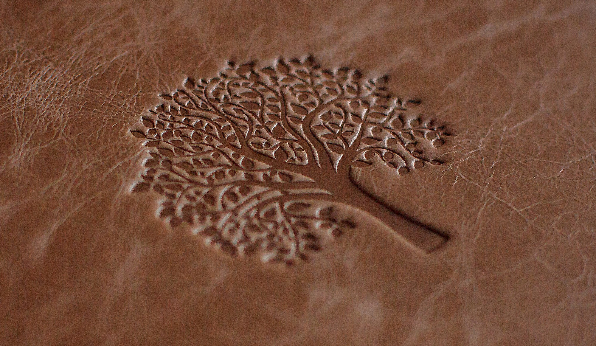 Фотокниги. Детский и семейный фотограф и наставник в Москве Мария Миронова