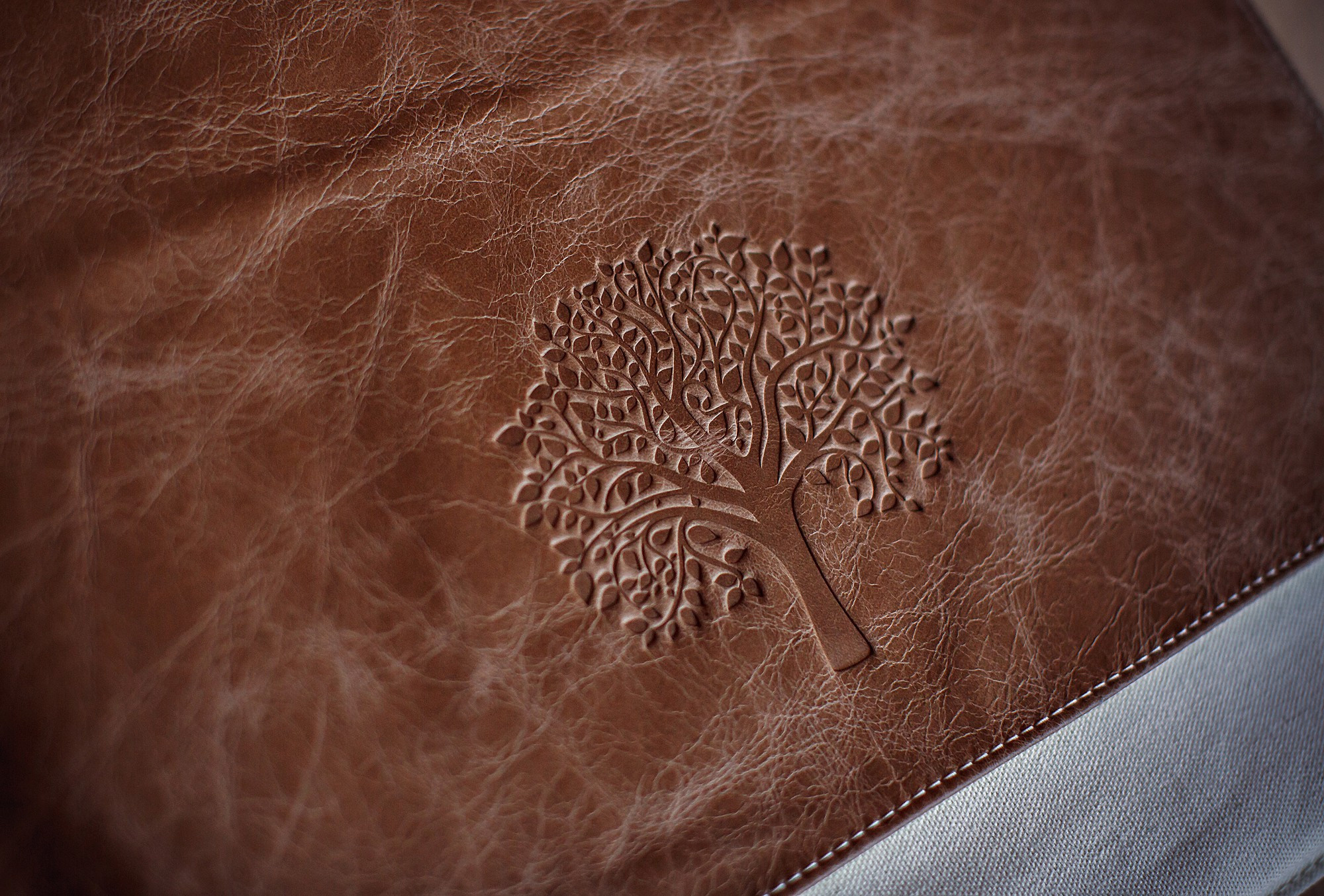 Фотокниги. Детский и семейный фотограф и наставник в Москве Мария Миронова