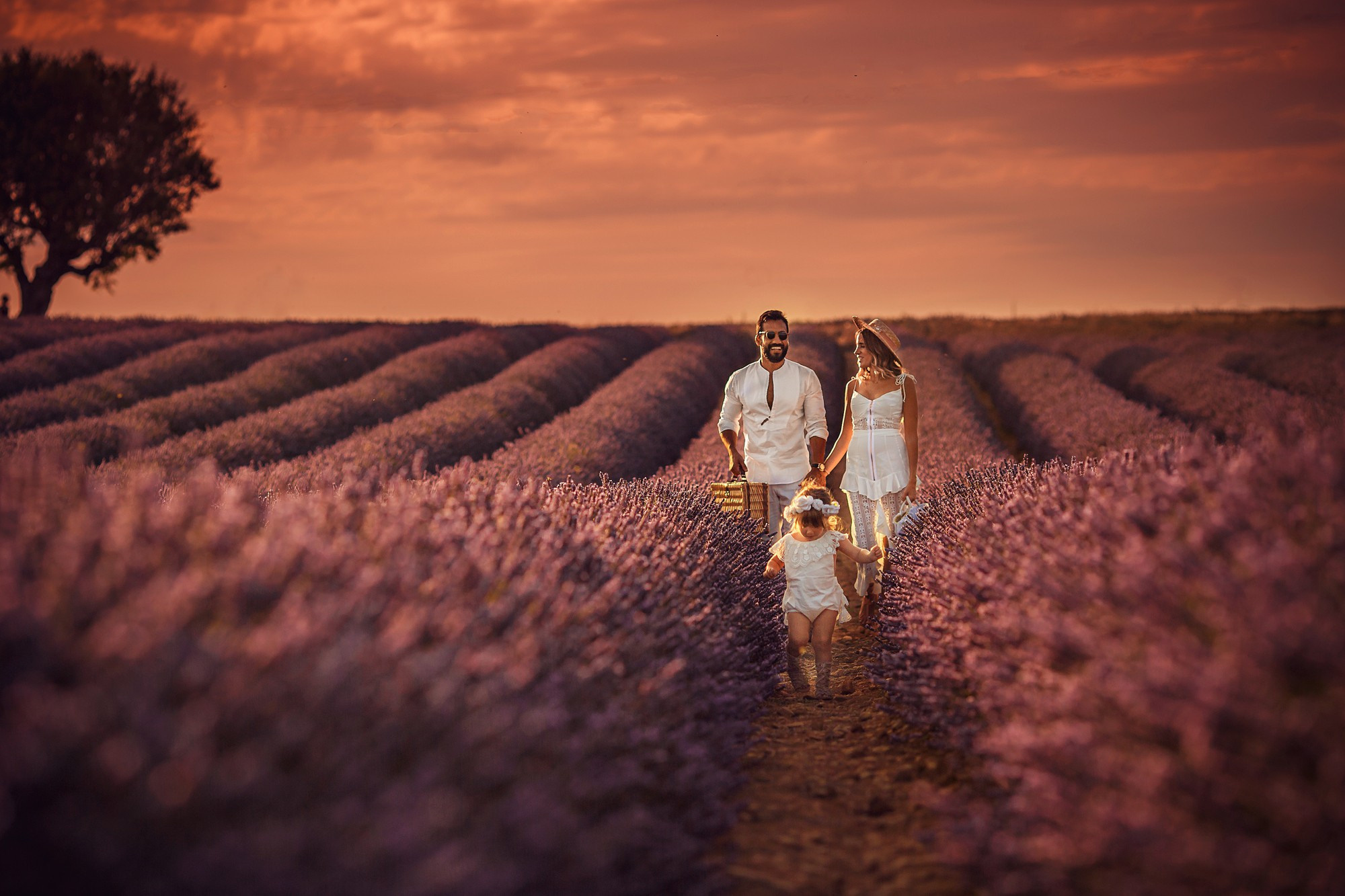 Лаванда. Детский и семейный фотограф и наставник в Москве Мария Миронова