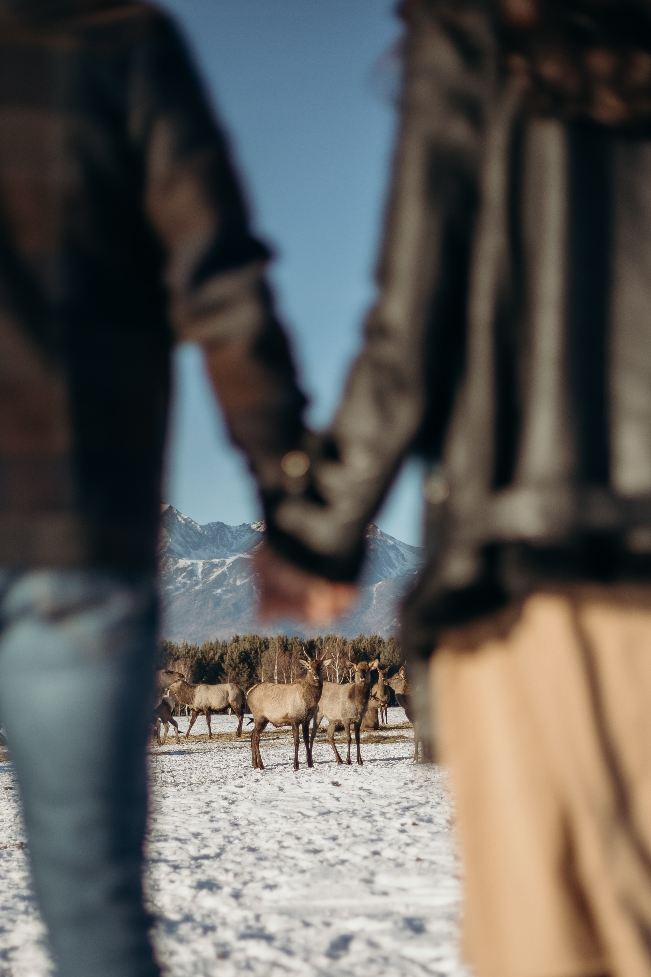 Павел и Анна. Фотограф Татьяна Ступина Иркутск