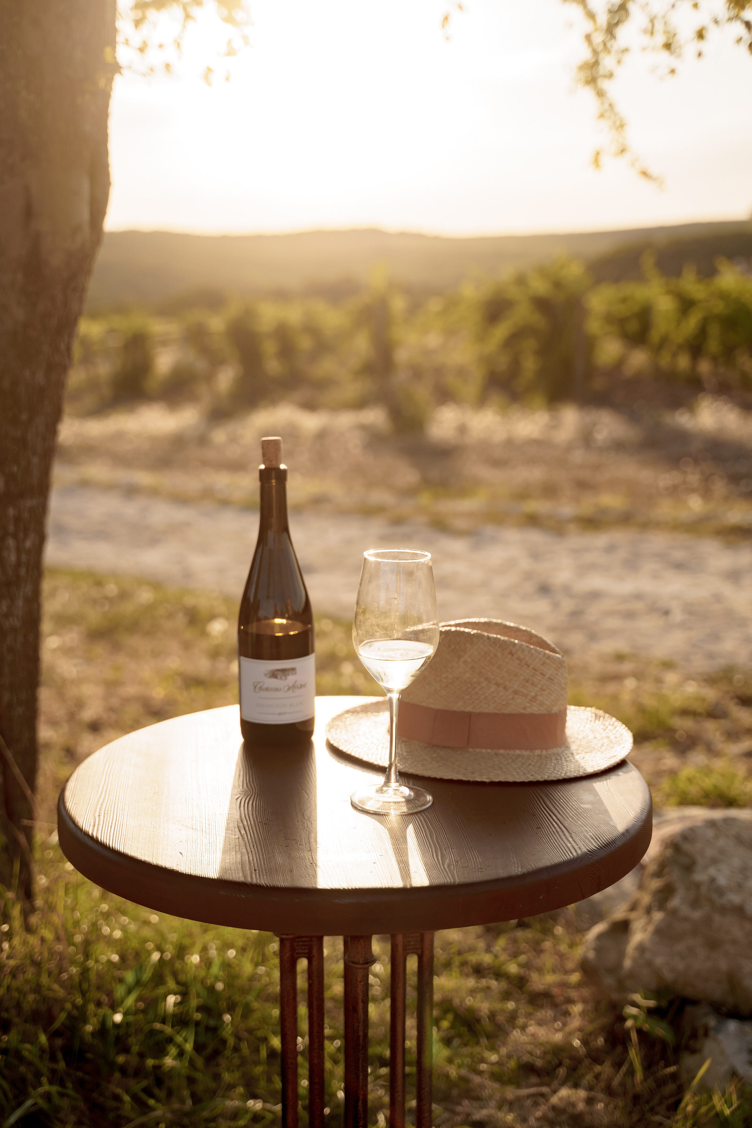Семейная фотосессия в Chateau Andre. Карпенко Марина свадебный и семейный фотограф Анапа, Краснодар, Геленджик, Сочи, Темрюк