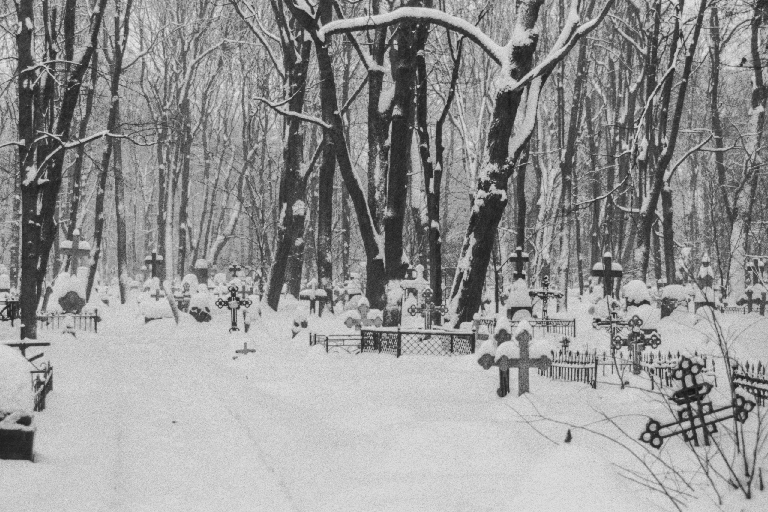 Питер. Фотограф Cyberkyrie