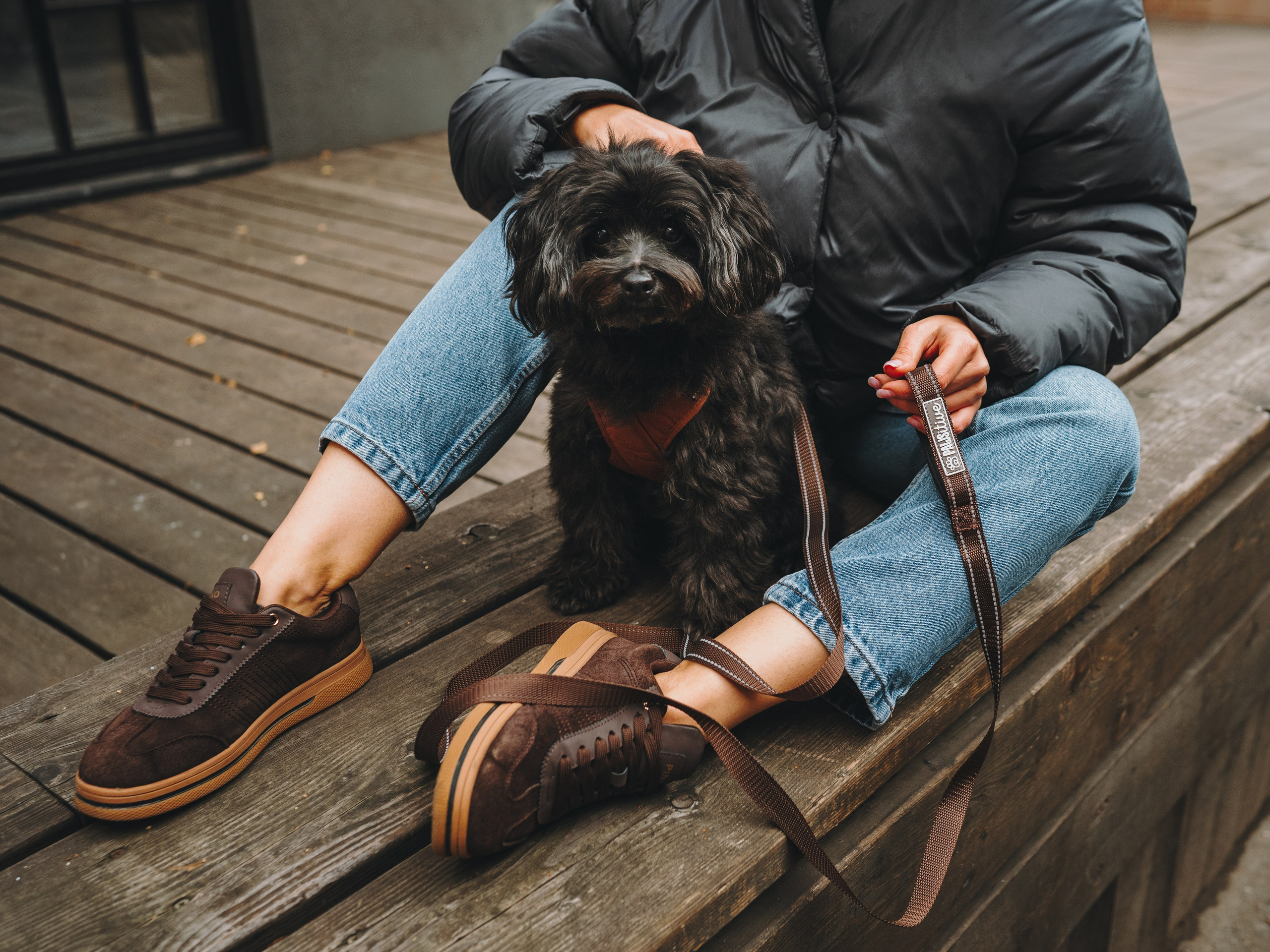 Pawsitive. Семейный фотограф анималист Ананьева Мария — Москва