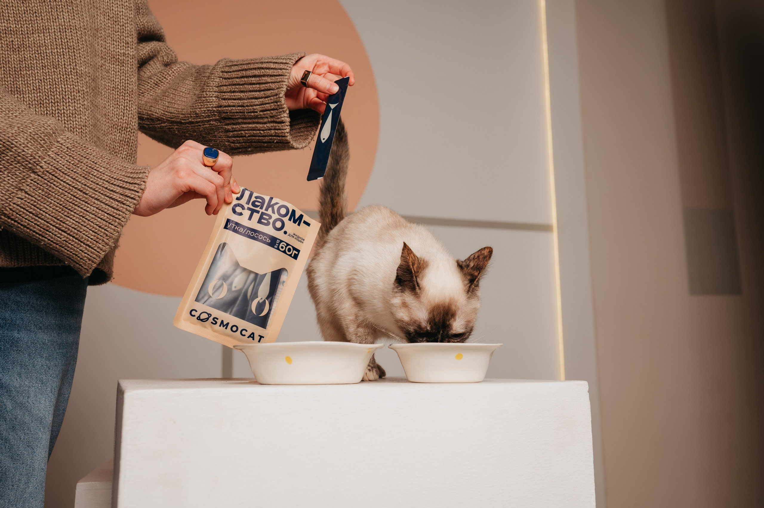 Cosmodog. Миски и лакомства. Семейный фотограф анималист Ананьева Мария — Москва