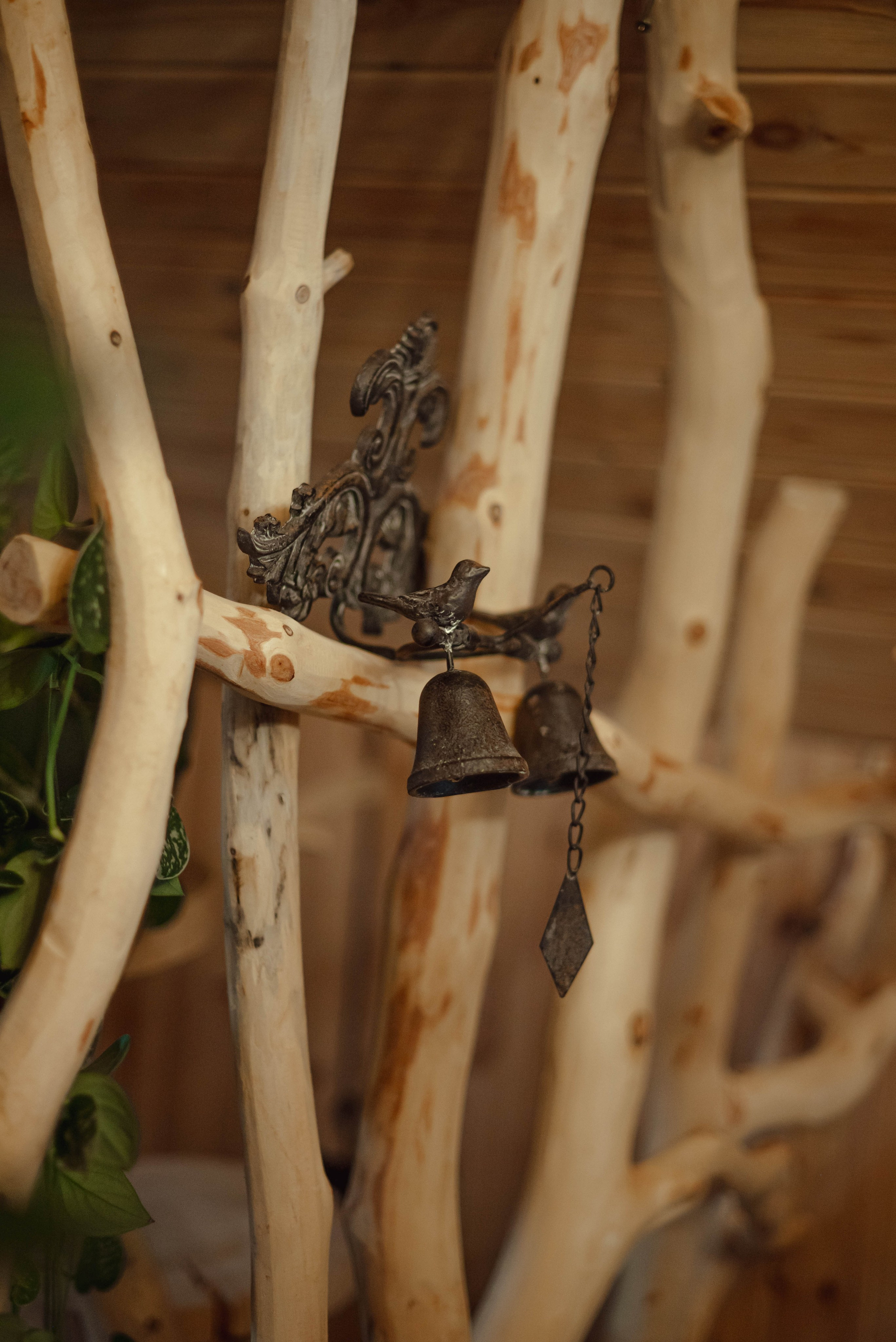 Лесное царство Оксаны. Свадебный и семейный фотограф в Новосибирске, Санкт-Петербурге, Москве