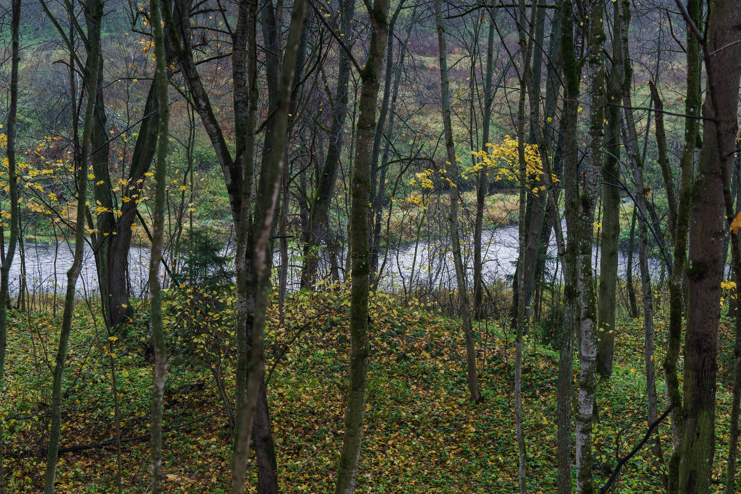 Фотографии Трейл Кутузов 2025. Фотограф спортивные события, недвижимость, турбизнес