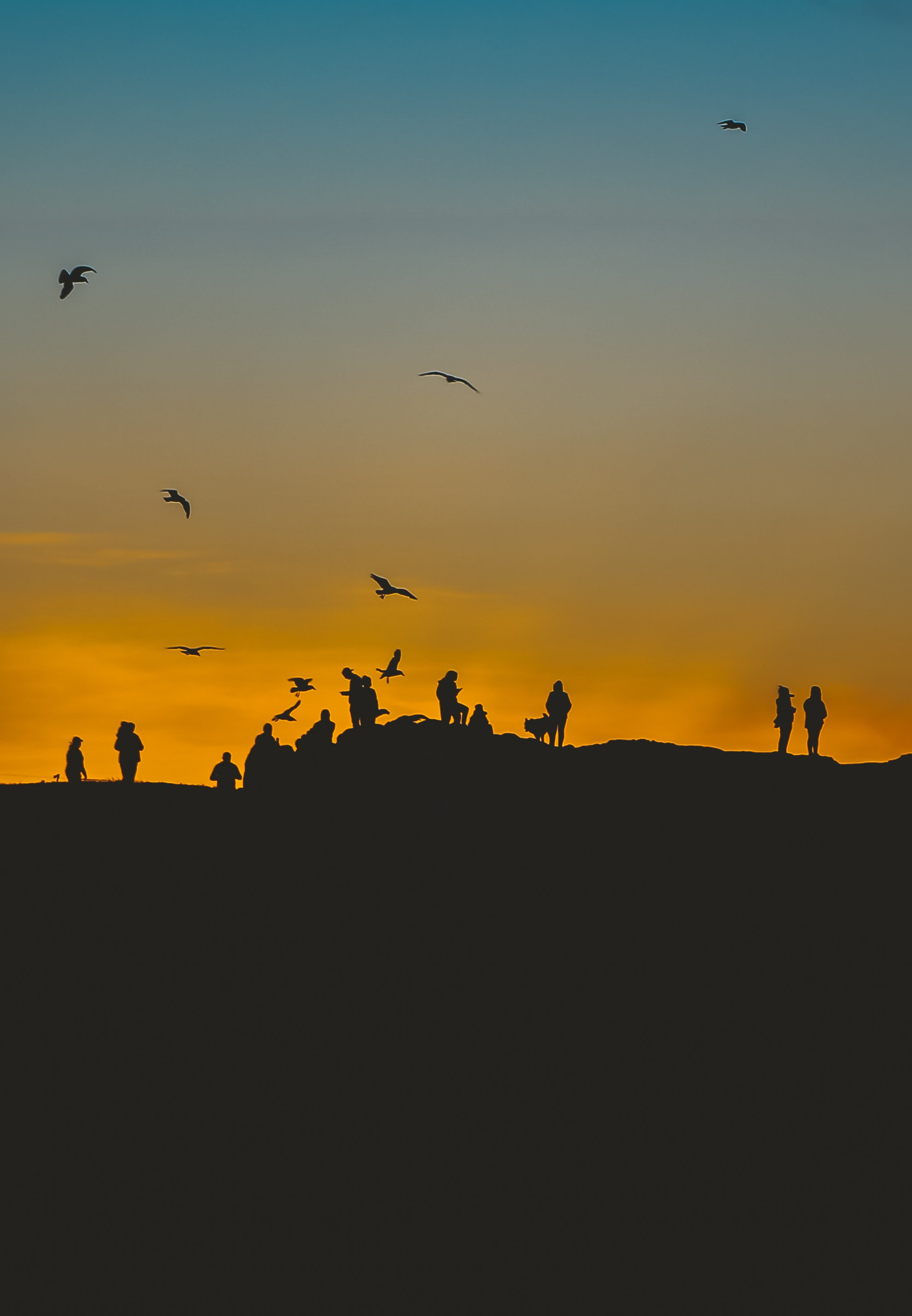 Байкал летний: легенды и святыни. Дарья Письменюк / Darya Leitstern — фотограф, музыкант, журналист, путешественник