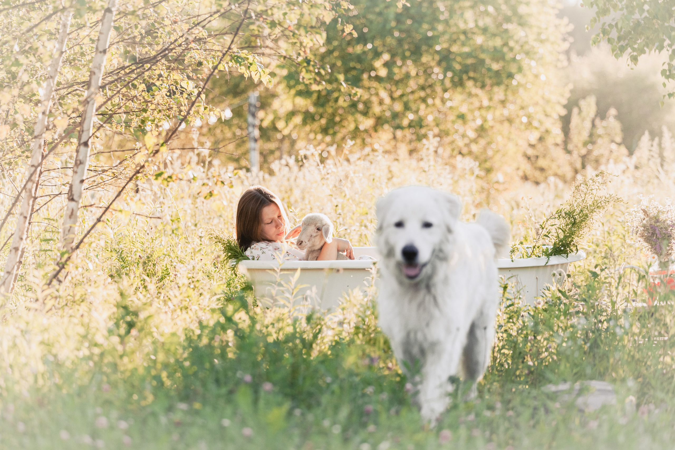 Ванна в поле. Фотограф-анималист Татьяна Степанова
