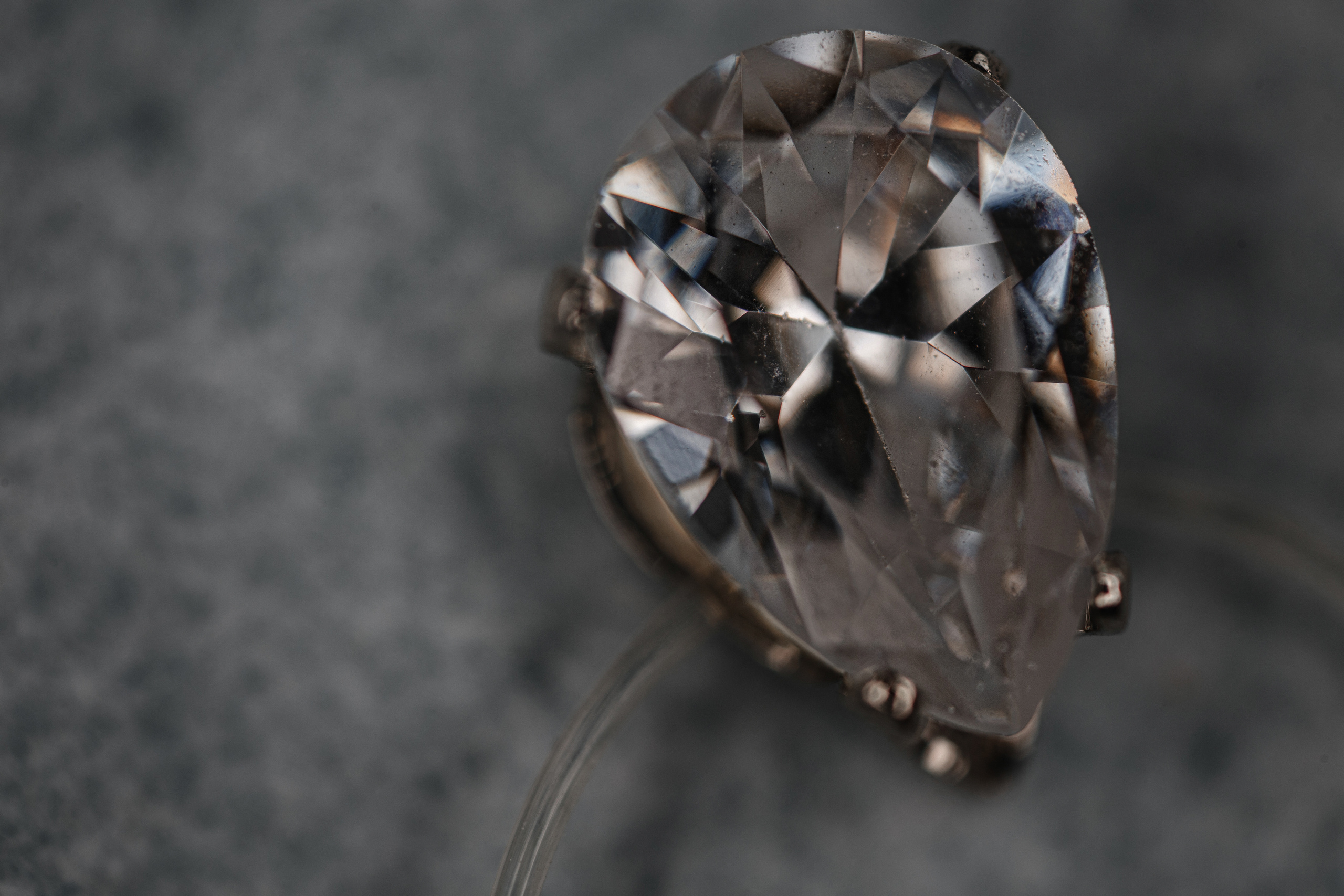 Anton + Liza. Антон Айрис | Anton Iris — стильно сниму твою свадьбу и депрессию