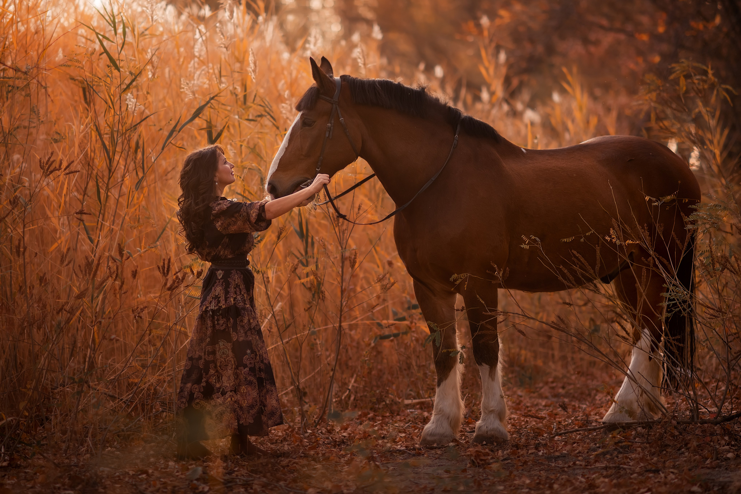 Казачка Донских степей. Семейный, детский и женский фотограф в Ростове-на-Дону Кирилина Екатерина