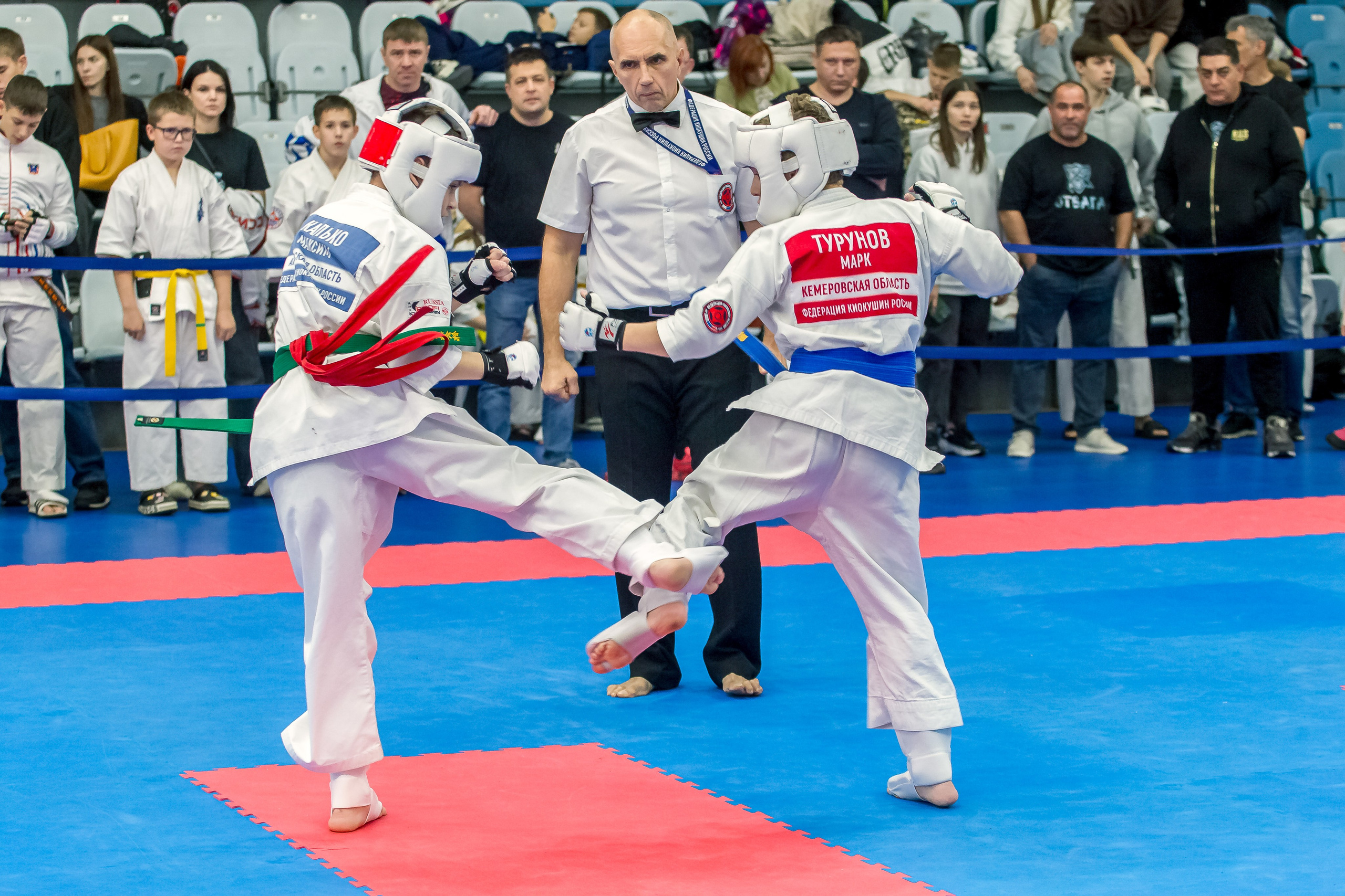 Соревнования по Киокушин памяти С. Увицкого. Репортажная съемка в Москве и области. Анималистика