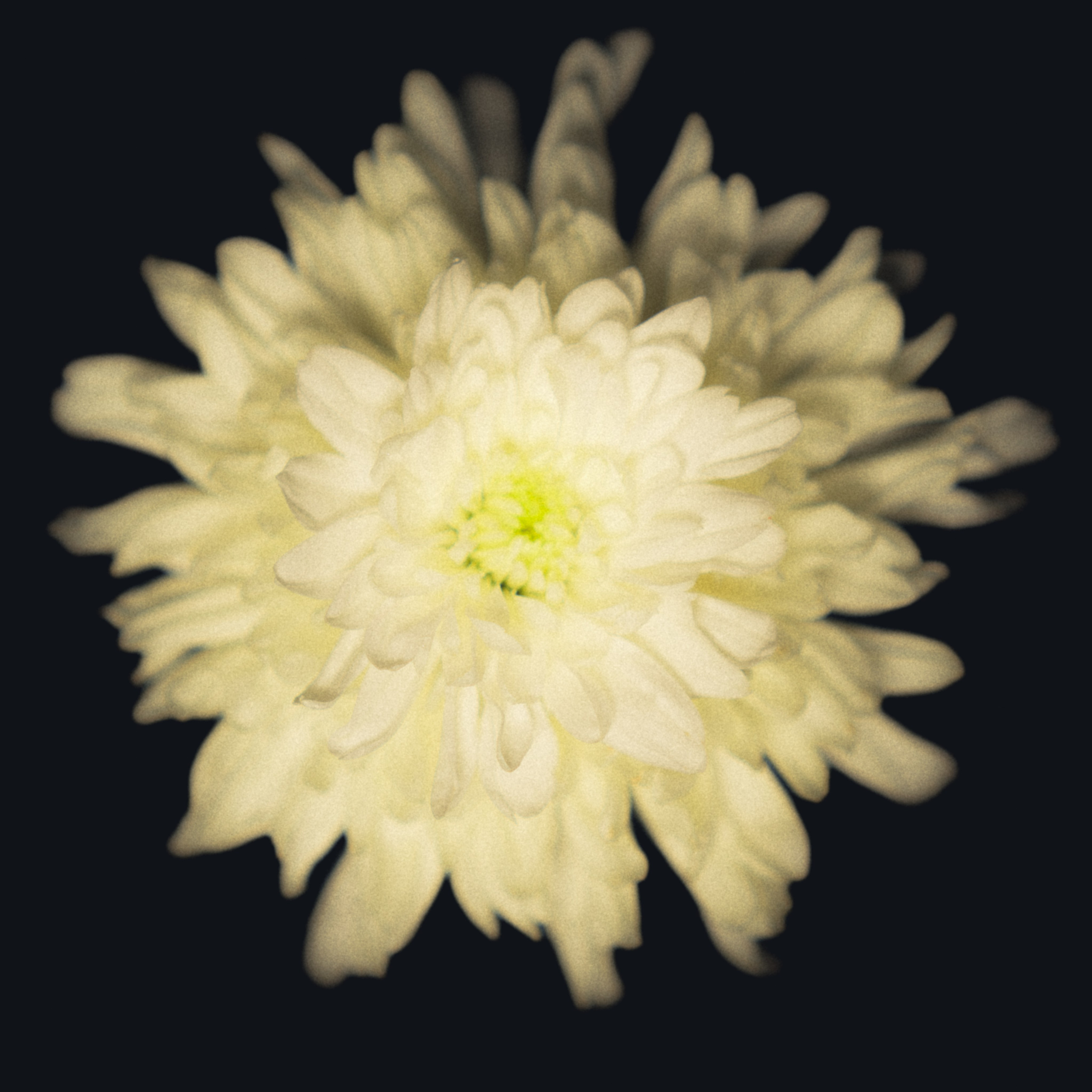 Единство (серия). Мистические фотосессии в Санкт-Петербурге от мистика Ильи Шенгелия