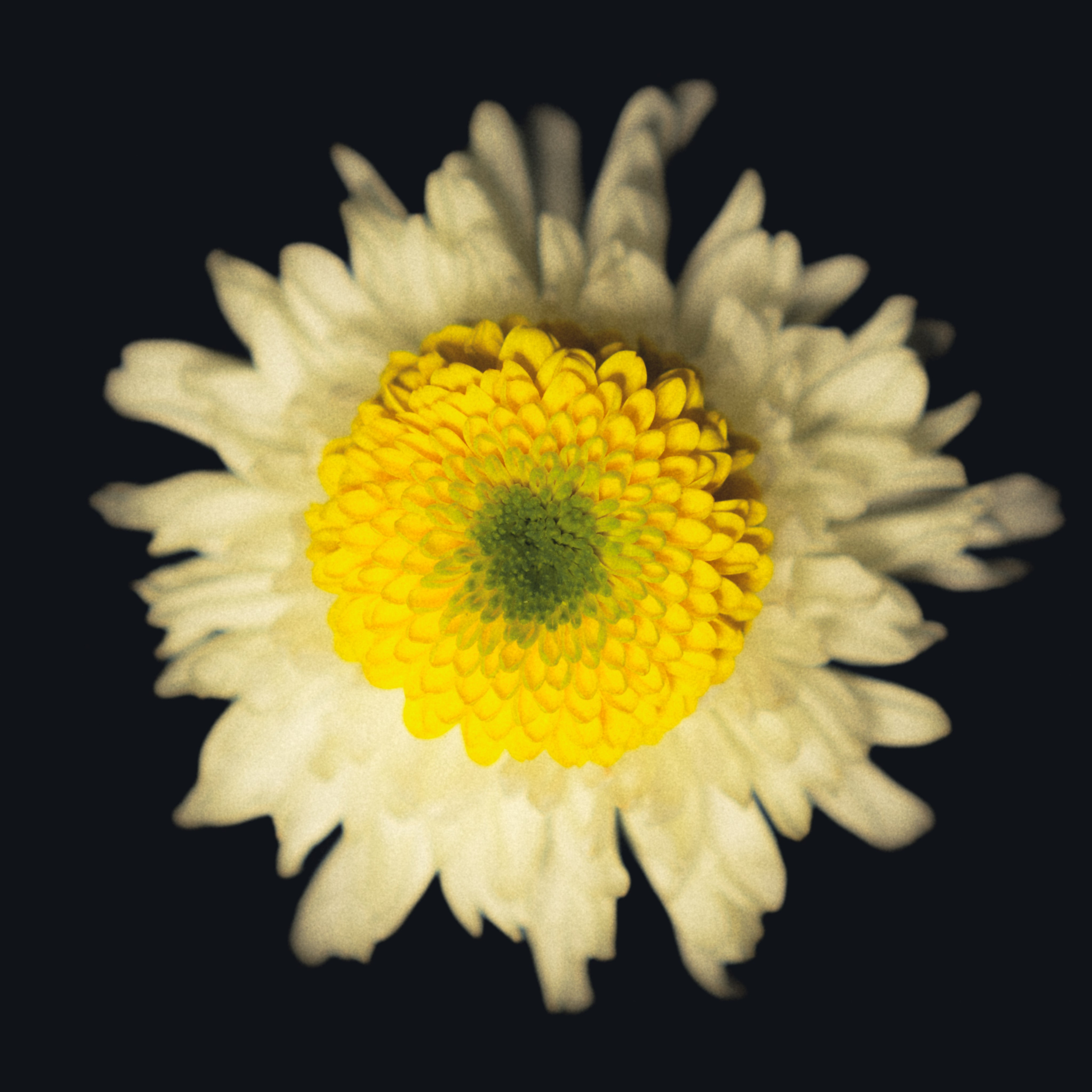 Единство (серия). Мистические фотосессии в Санкт-Петербурге от мистика Ильи Шенгелия