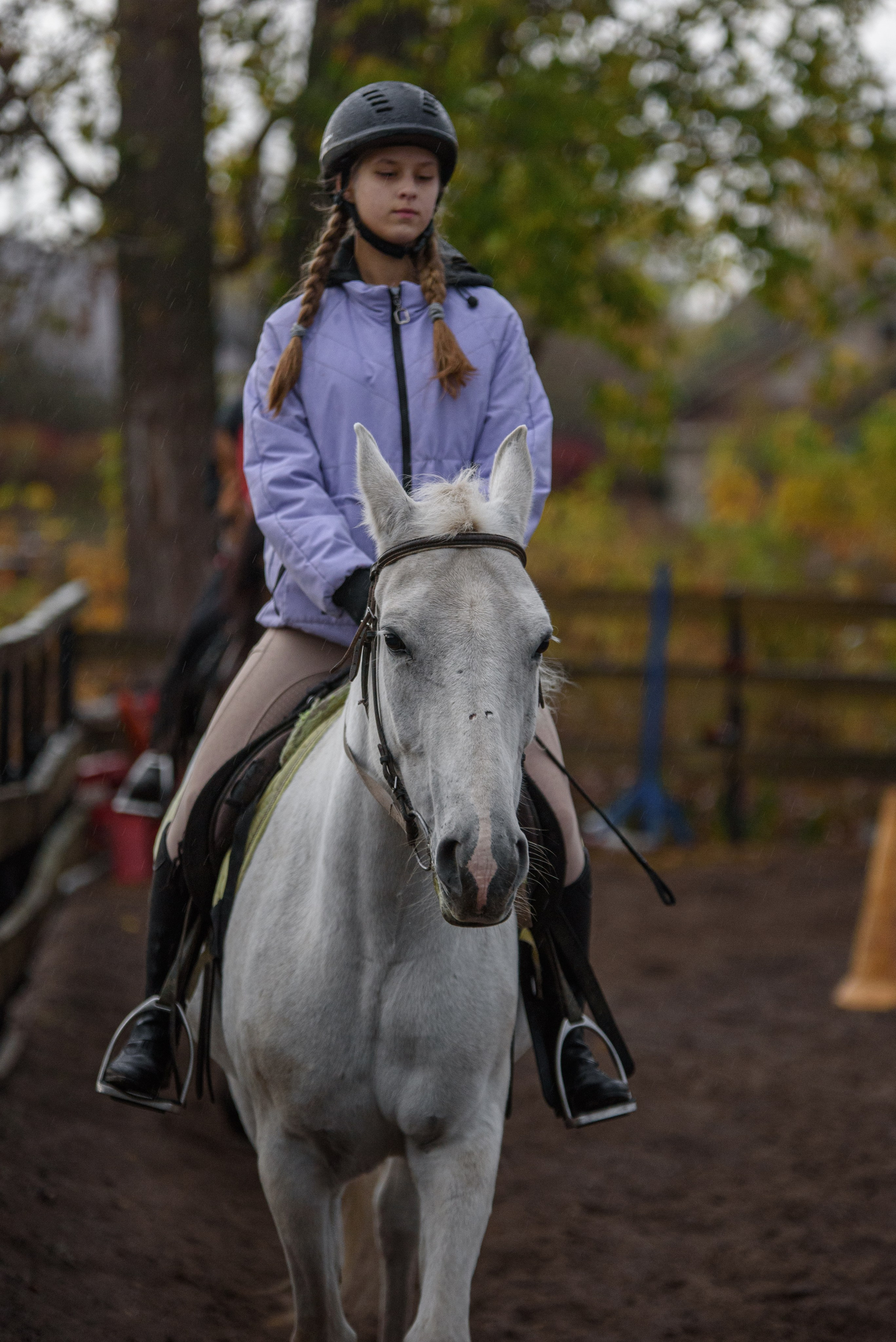 Кони. Мотофотограф в Нижнем Новгороде Динара Зуйкова