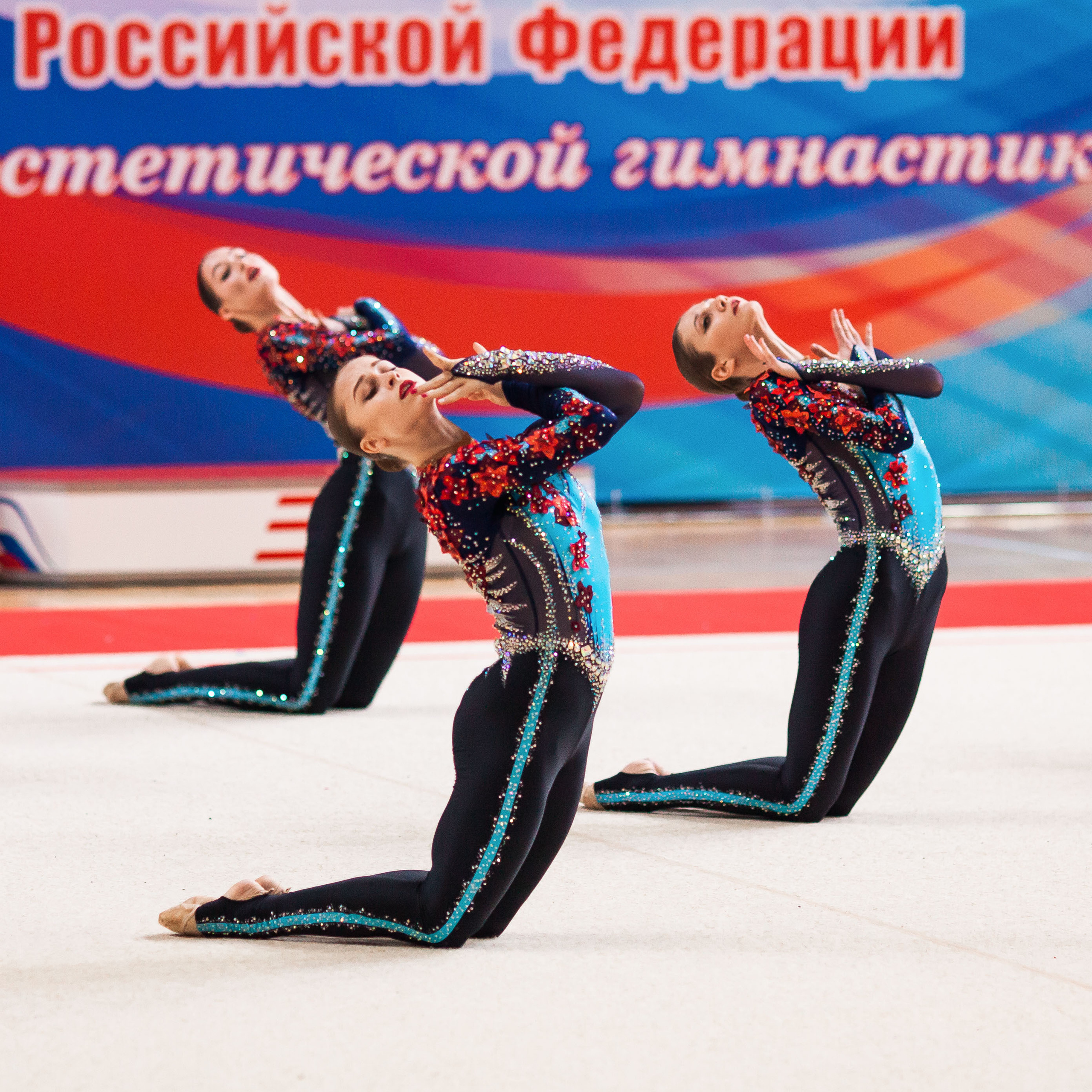 ЧиП ЦФО по эстетической гимнастике. Смоленск 18–19 марта 2023. Спортивный фотограф Александр Васильев. RG и AGG