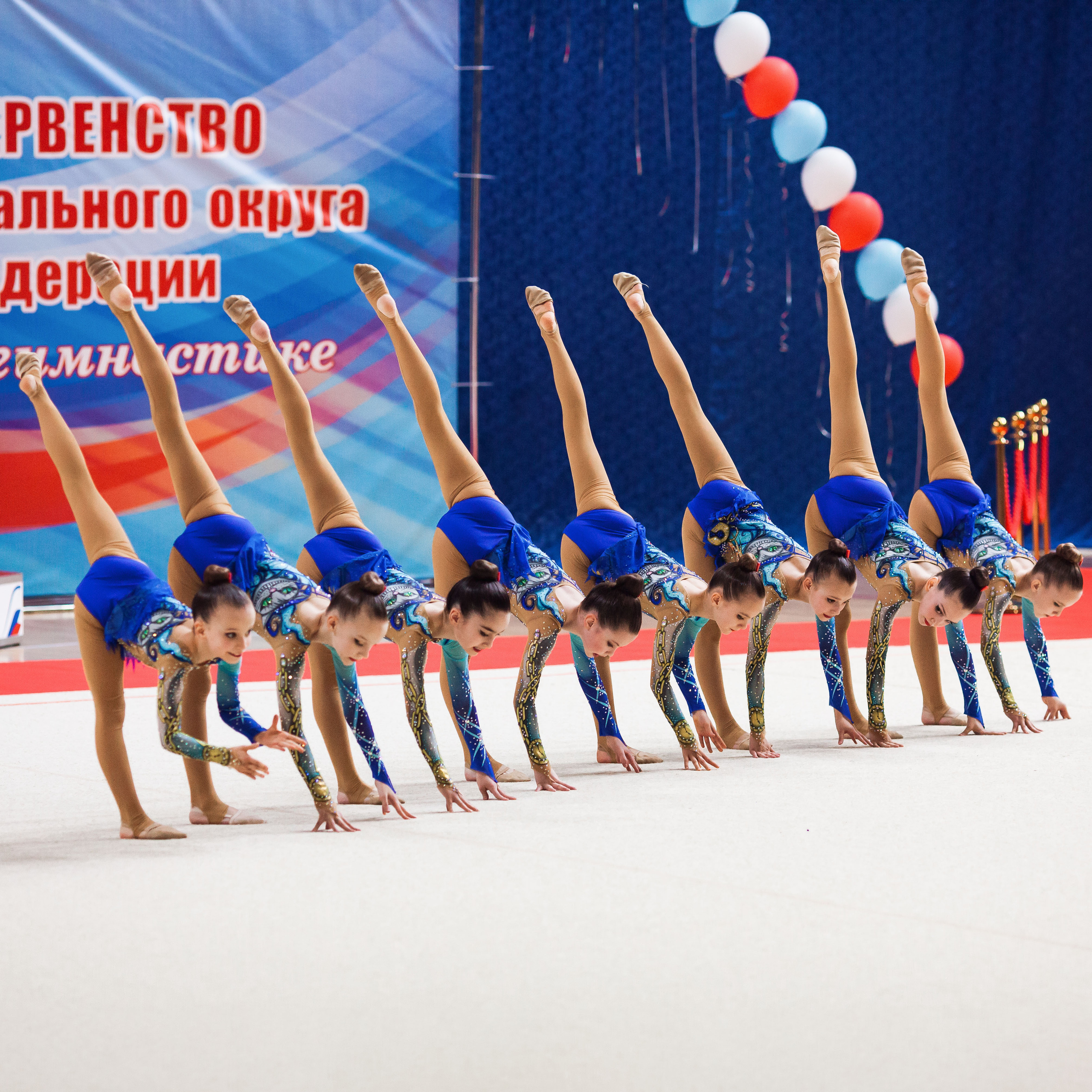 ЧиП ЦФО по эстетической гимнастике. Смоленск 18–19 марта 2023. Спортивный фотограф Александр Васильев. RG и AGG