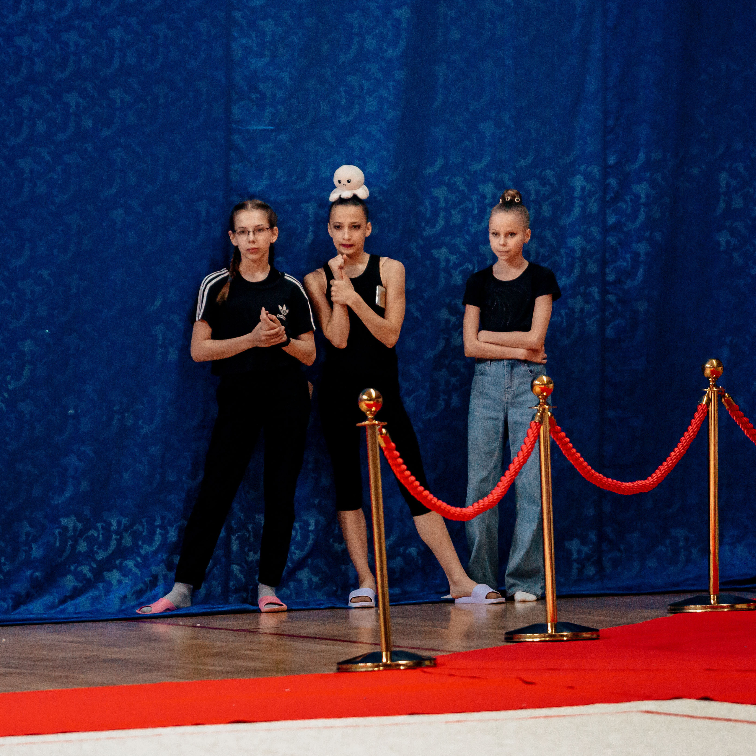 Первенство Смоленской области по художественной гимнастике 25–27 апреля. Спортивный фотограф Александр Васильев. RG и AGG