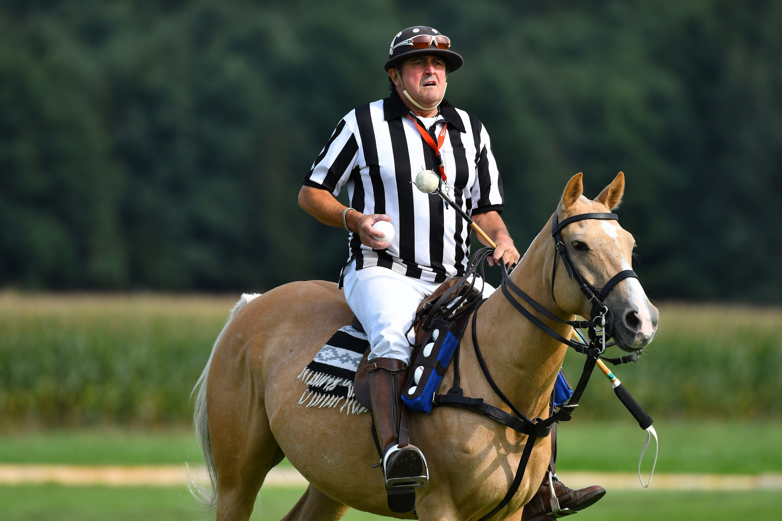 Polo art photos. Art photos of horses — ARTUR BABOEV | Photographer