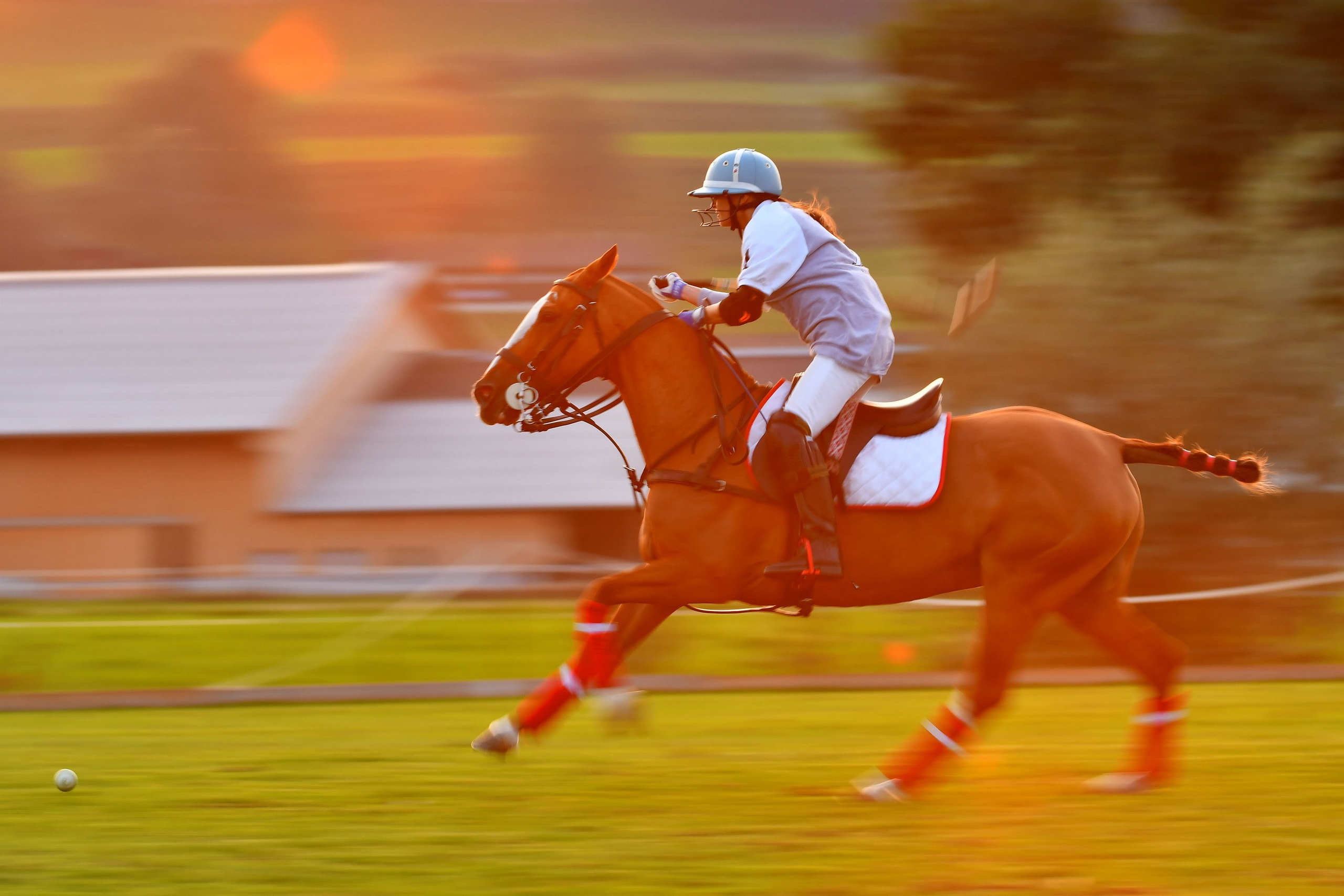 Polo art photos. Art photos of horses — ARTUR BABOEV | Photographer