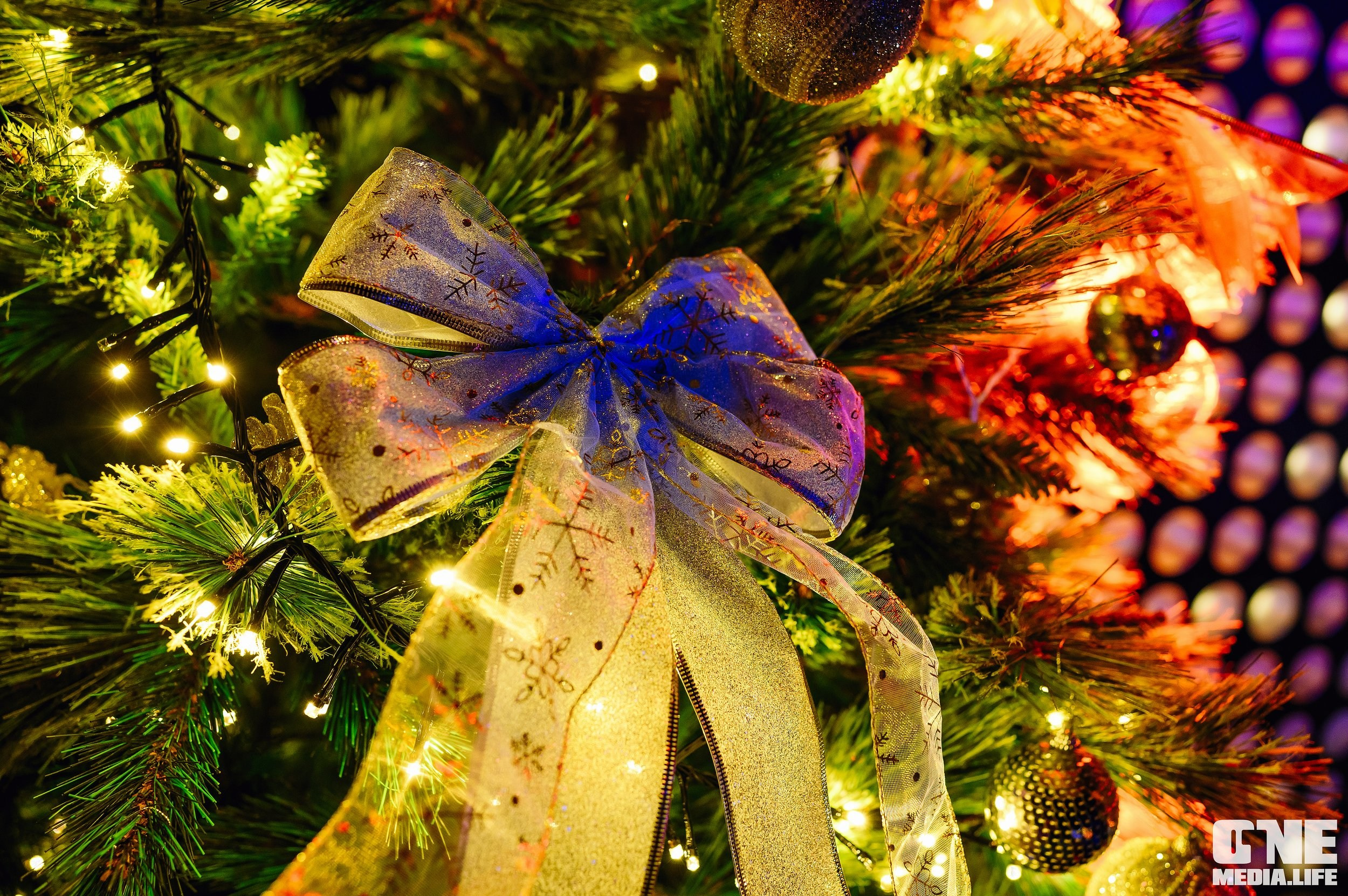 Фоторепортаж из караоке-клуба Эйфория. One Media Life: фоторепортажи, фотоотчеты с мероприятий и заведений