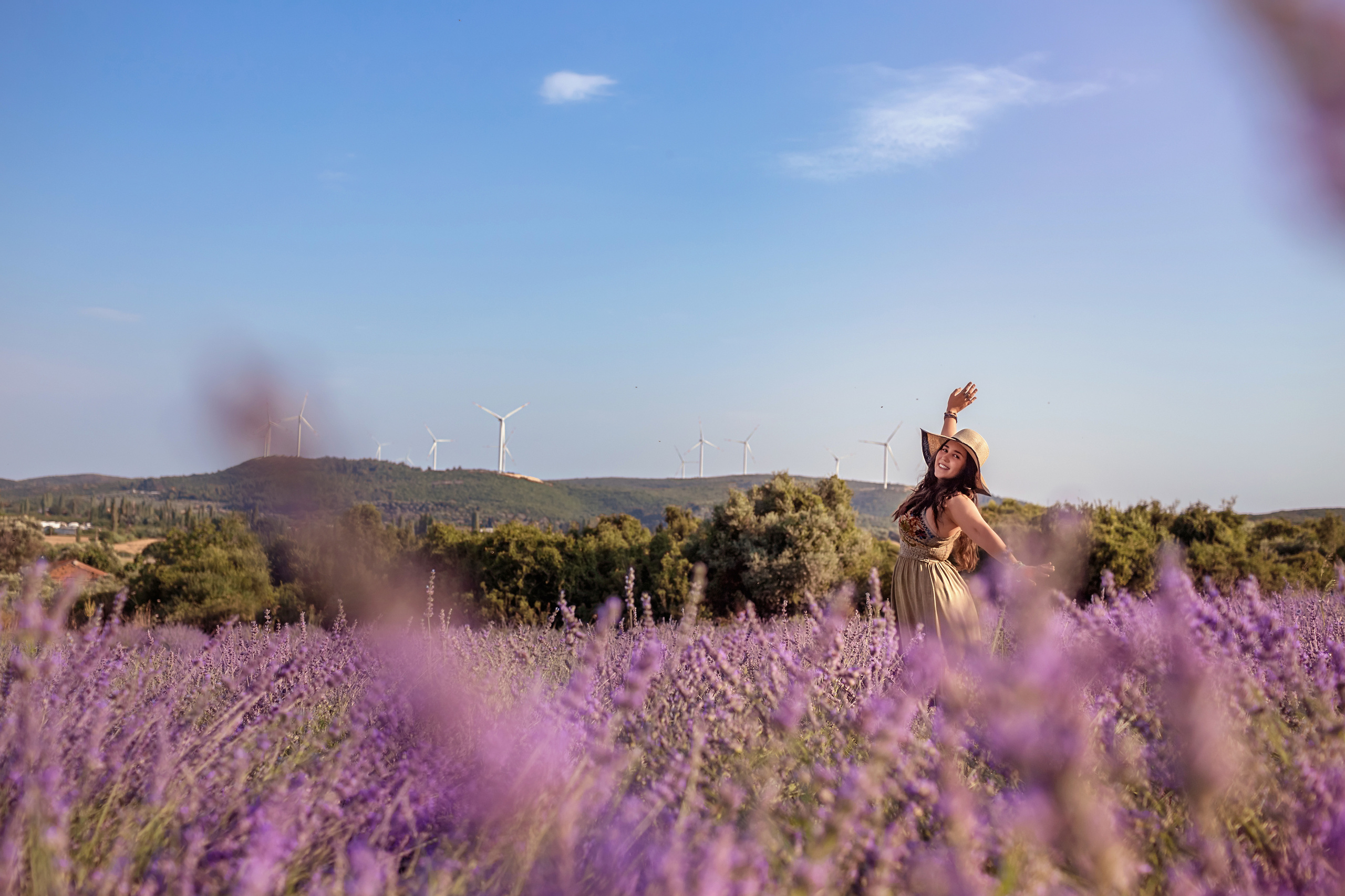 Photoshoot in lavender