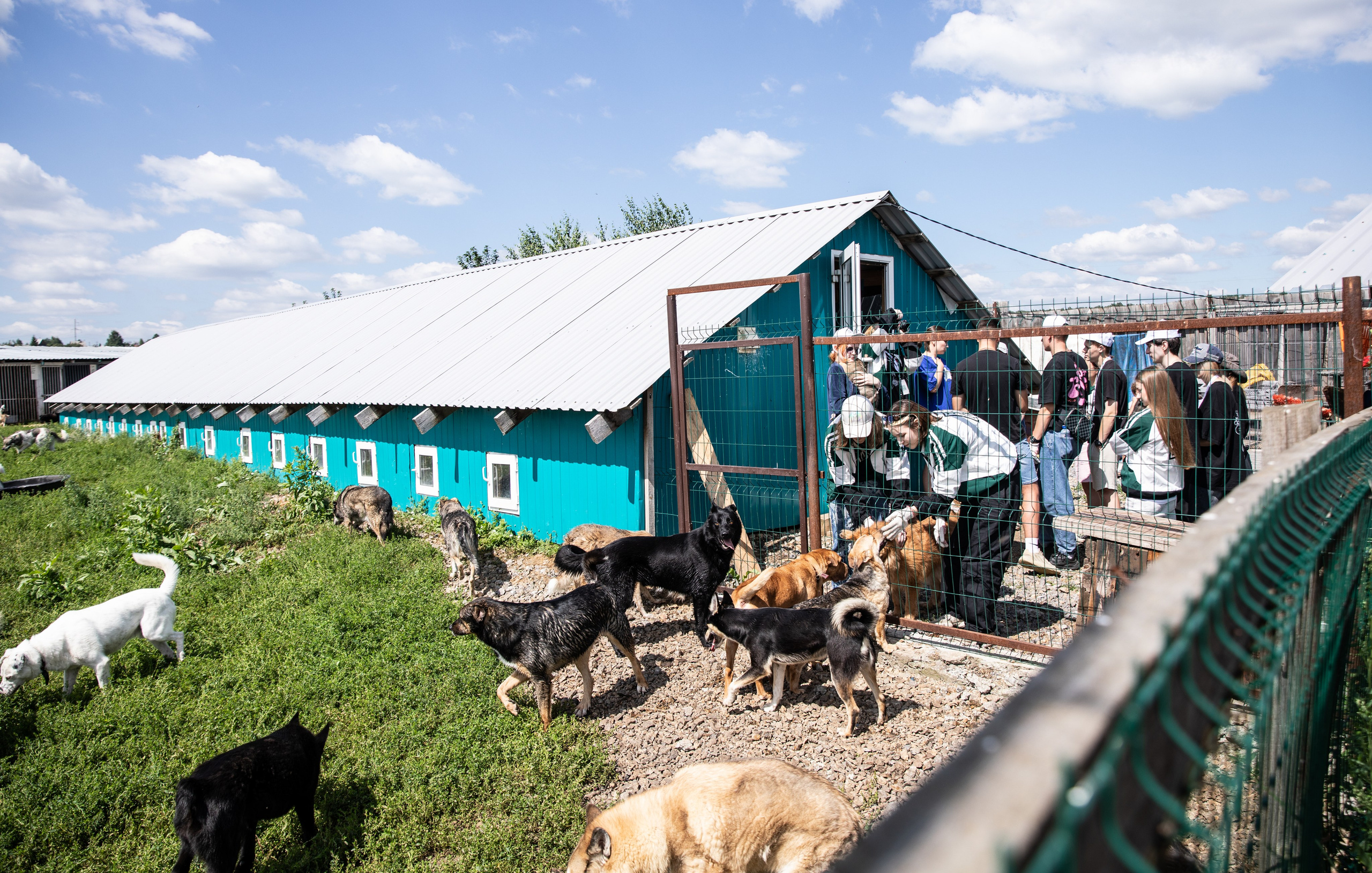 Приют — Наш дом. Репортажный и свадебный фотограф в Челябинске Елисеев Павел