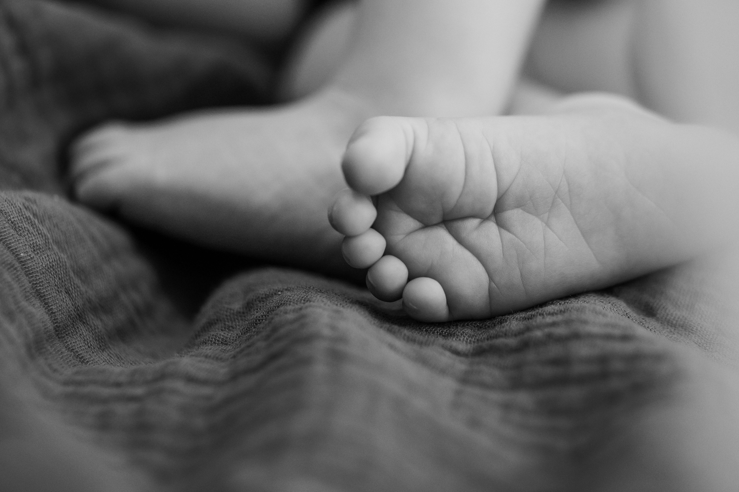 Новорожденные. Кристина Москвина. Портретный фотограф