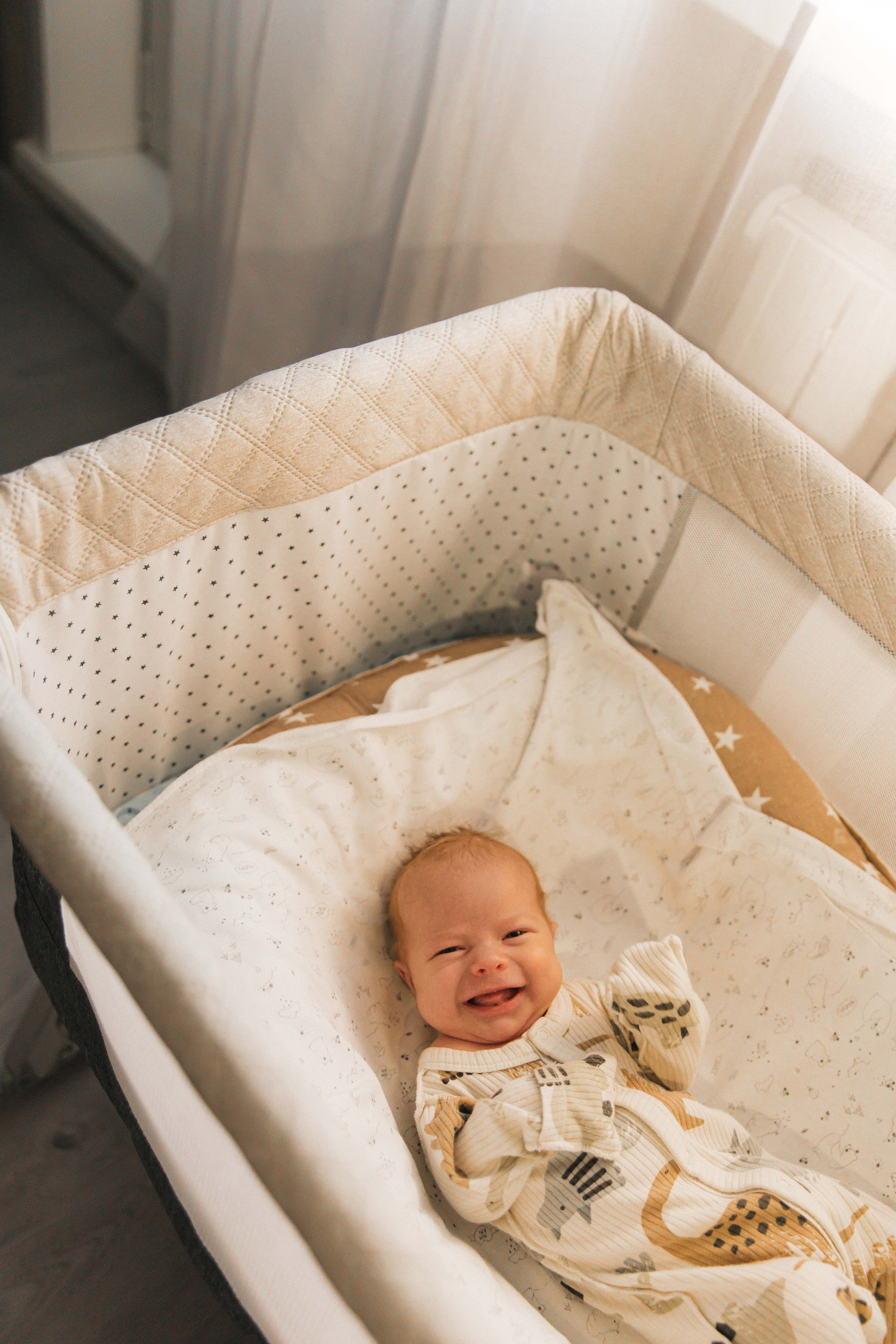 Лев. Фотограф Анастасия Петрова