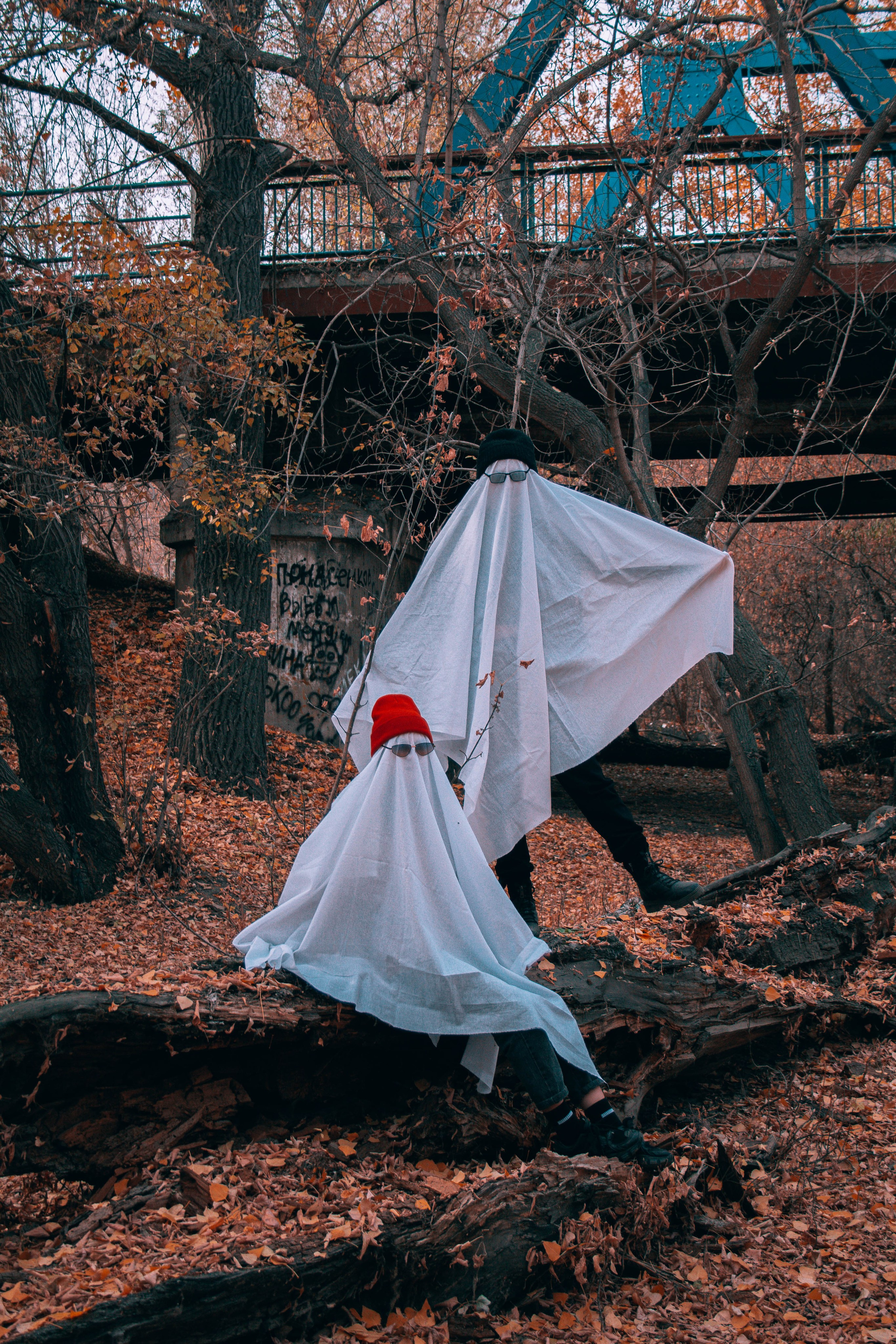 Halloween. Фотограф Новосибирск