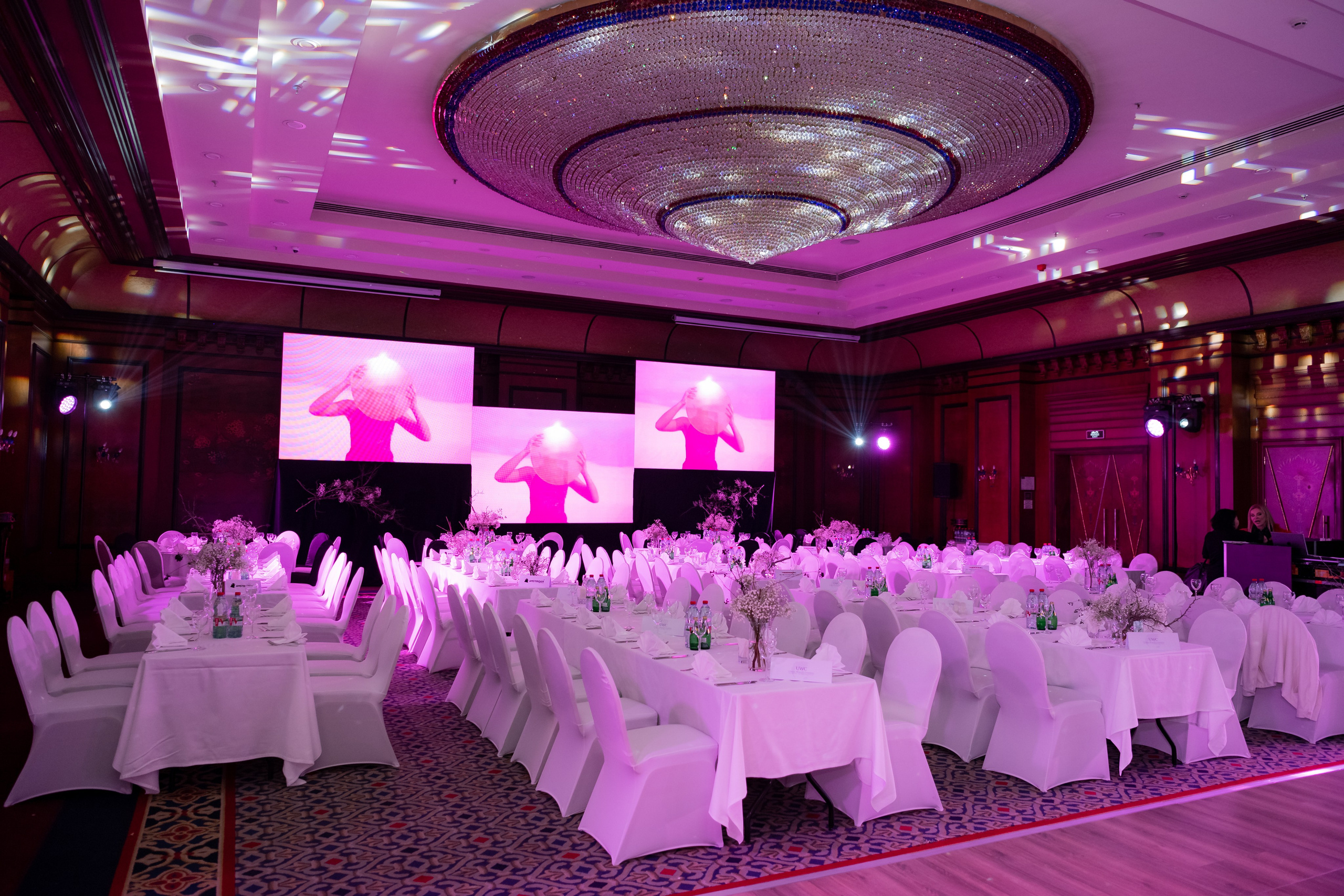 Beaujolais nouveau 2023. Фотограф Астана, Алматы