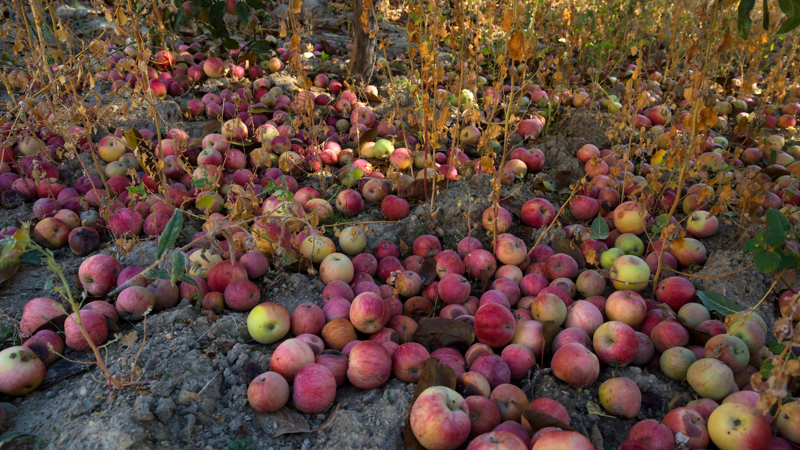 Каппадокия. Фотограф-путешественник Самойлов Максим «Sly Fox»