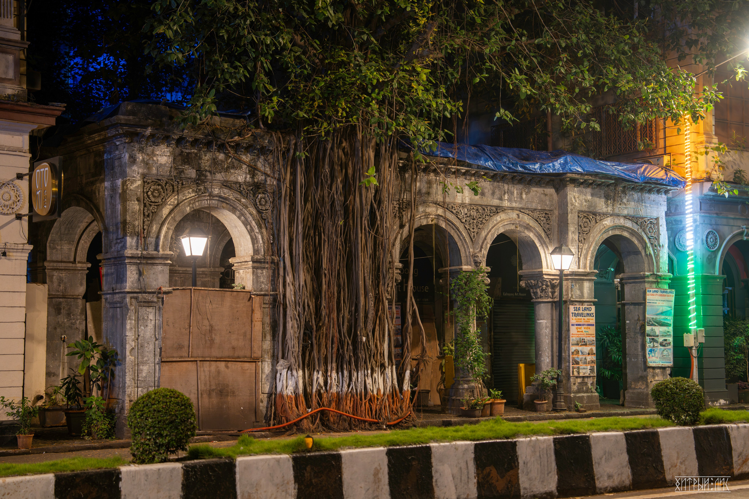 Гоа-Мумбаи. Фотограф-путешественник Самойлов Максим «Sly Fox»