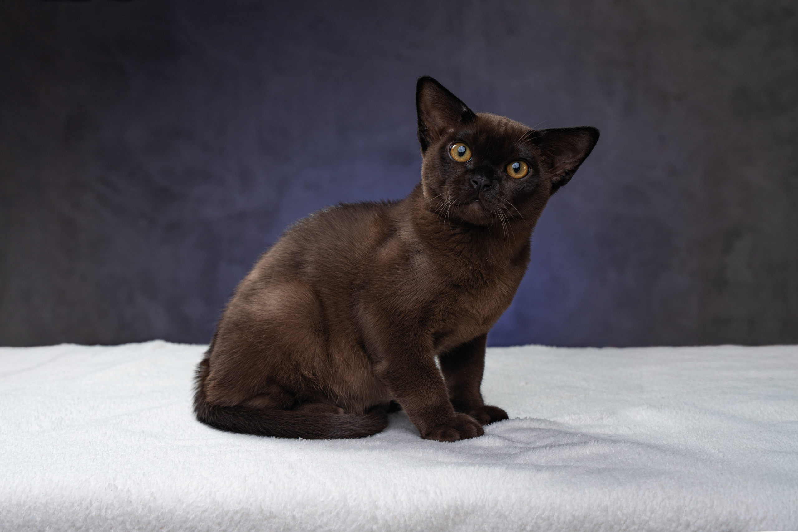 QUEST. ЮRA. Делаю красиво