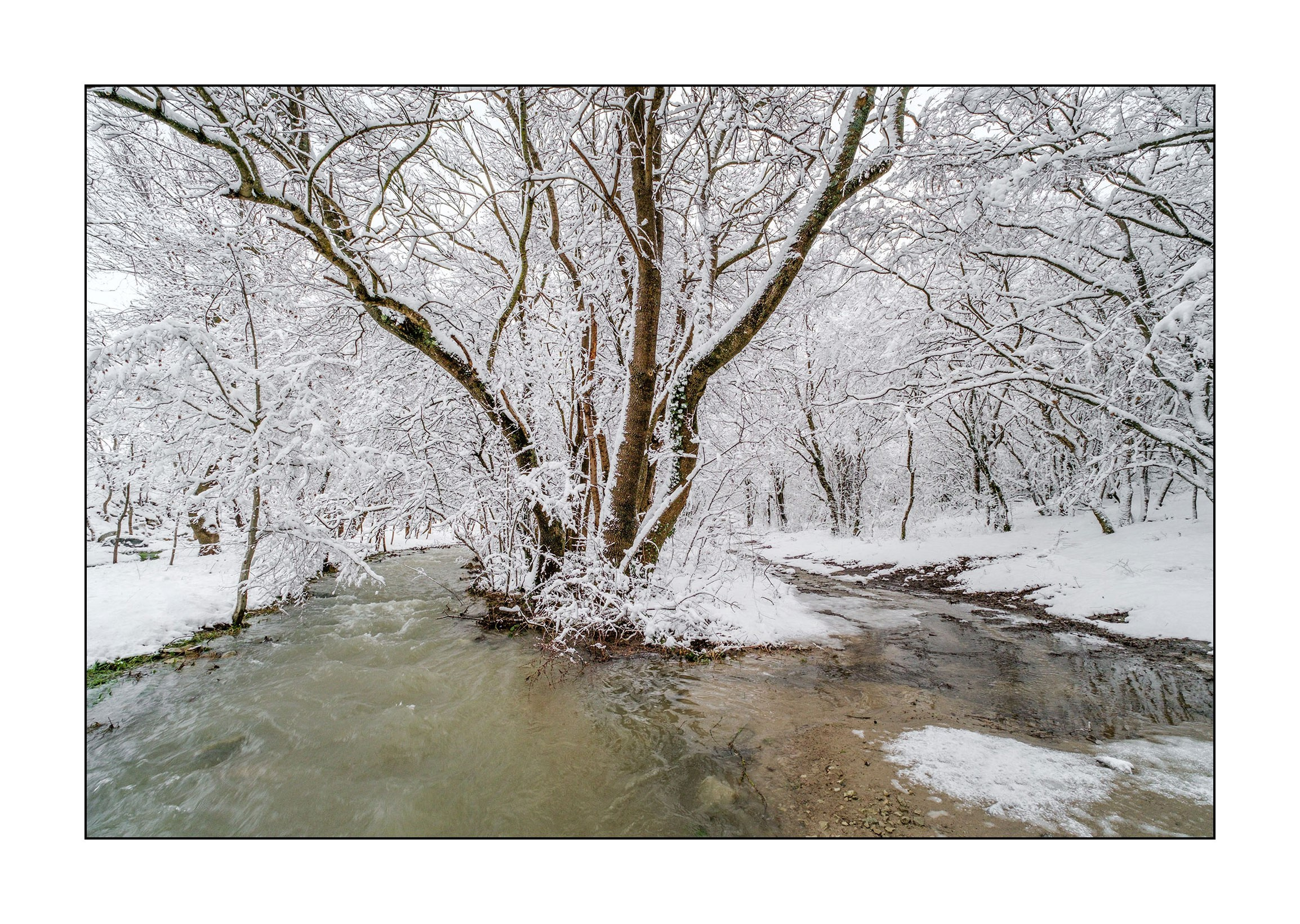 фотограф Геленджик