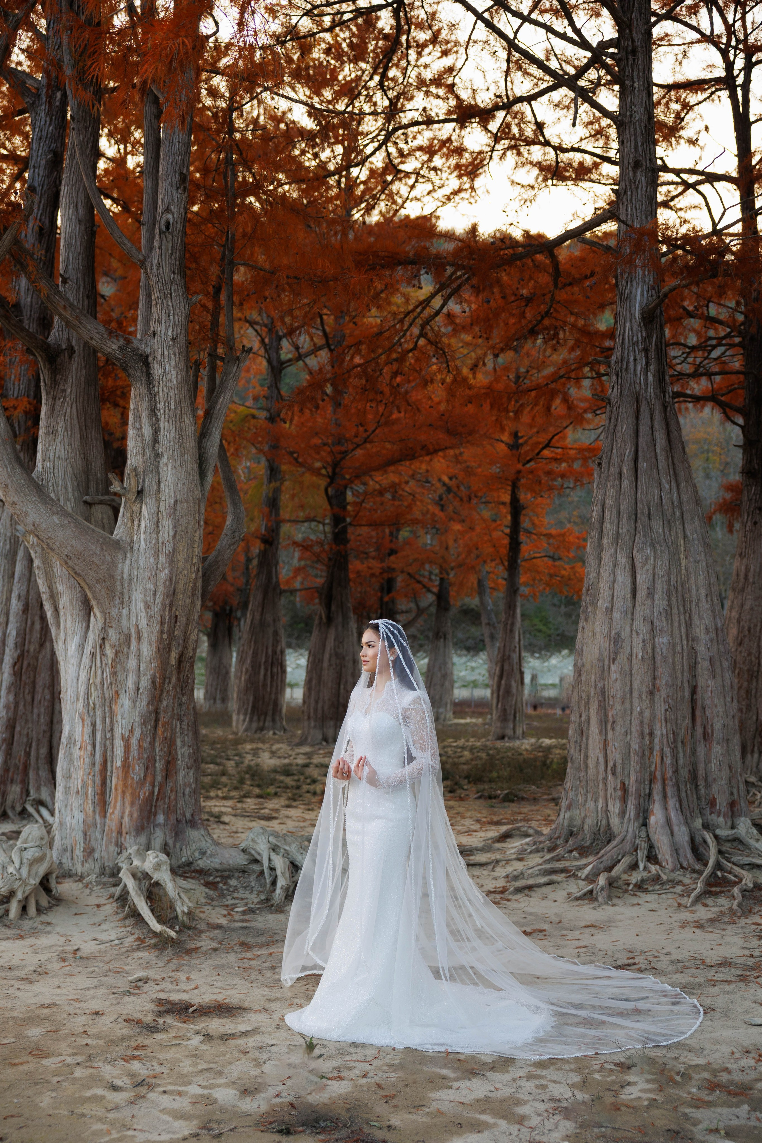 Обжигающая нежность. Аксанна Аракелян