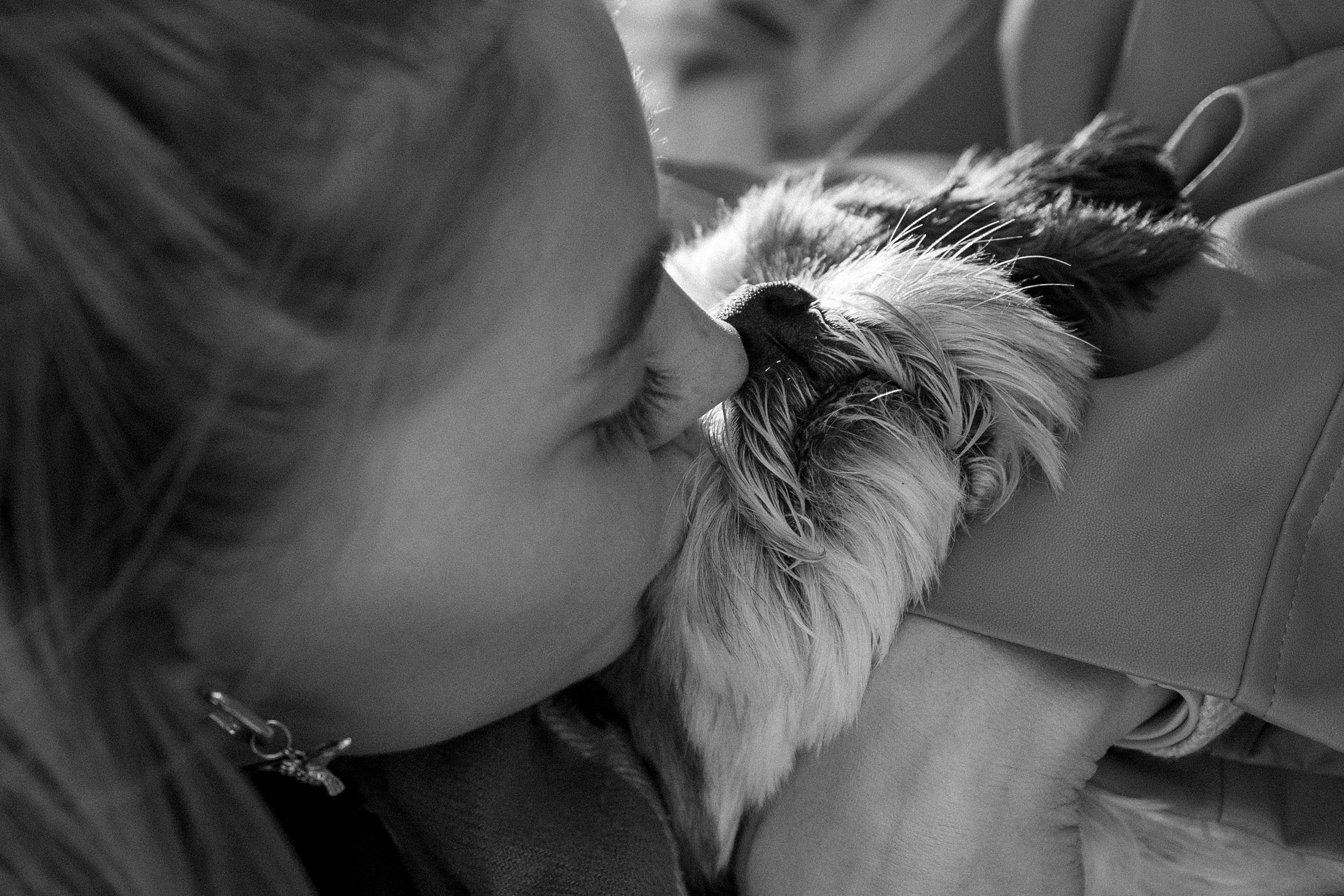 Настя и Франт. Фотограф — Анималист | Санкт-Петербург