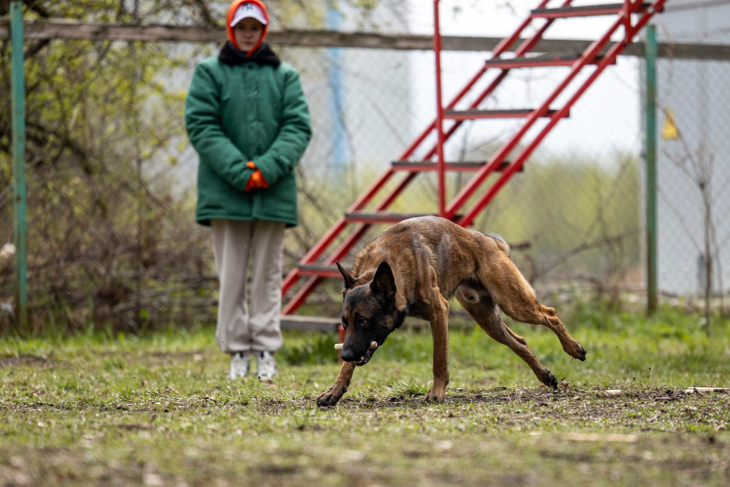 Квалификационные состязания по мондьорингу г. Вологда 11.05.24. Фотограф-анималист Анна Маринич