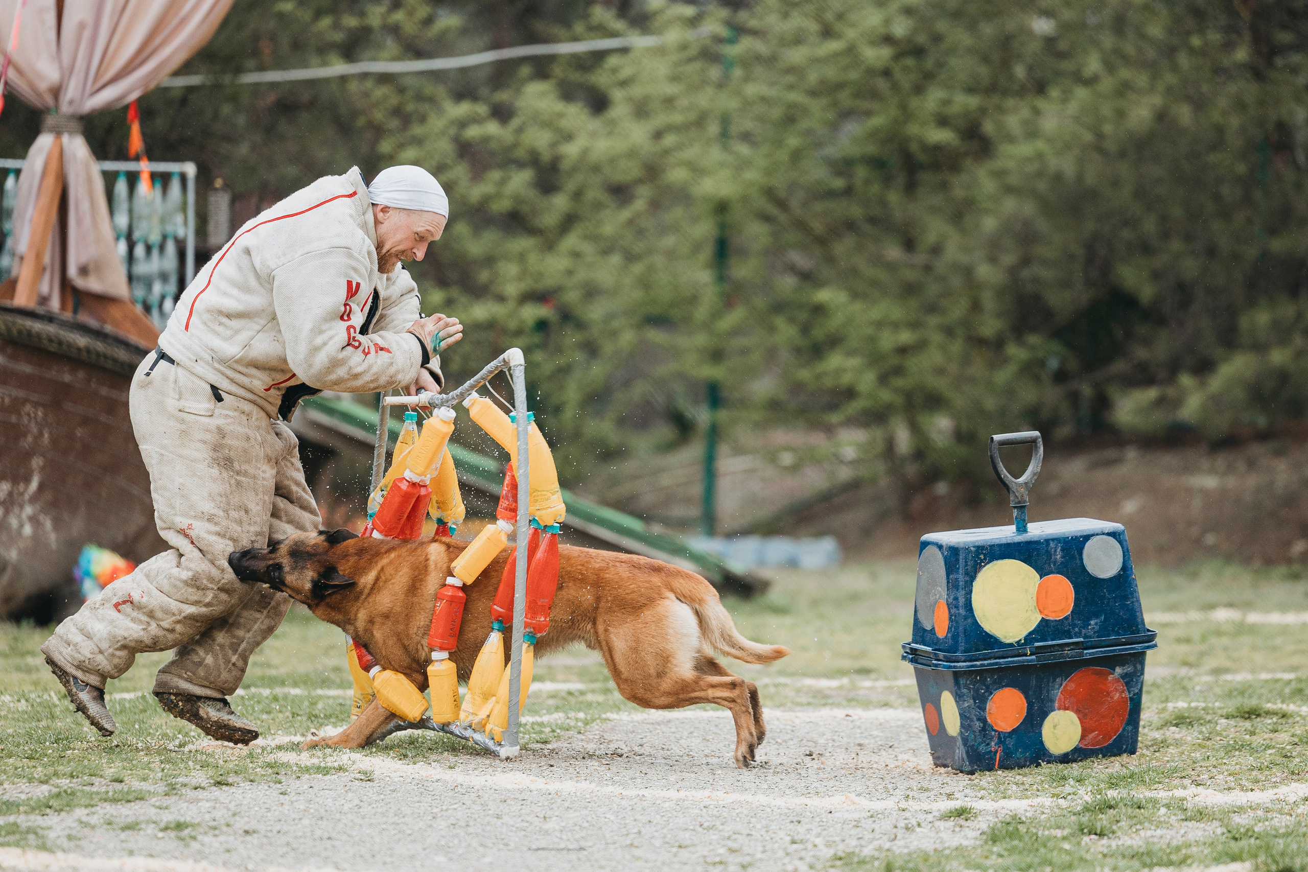 Геленджик Мондьоринг. Фотограф-анималист Анна Маринич