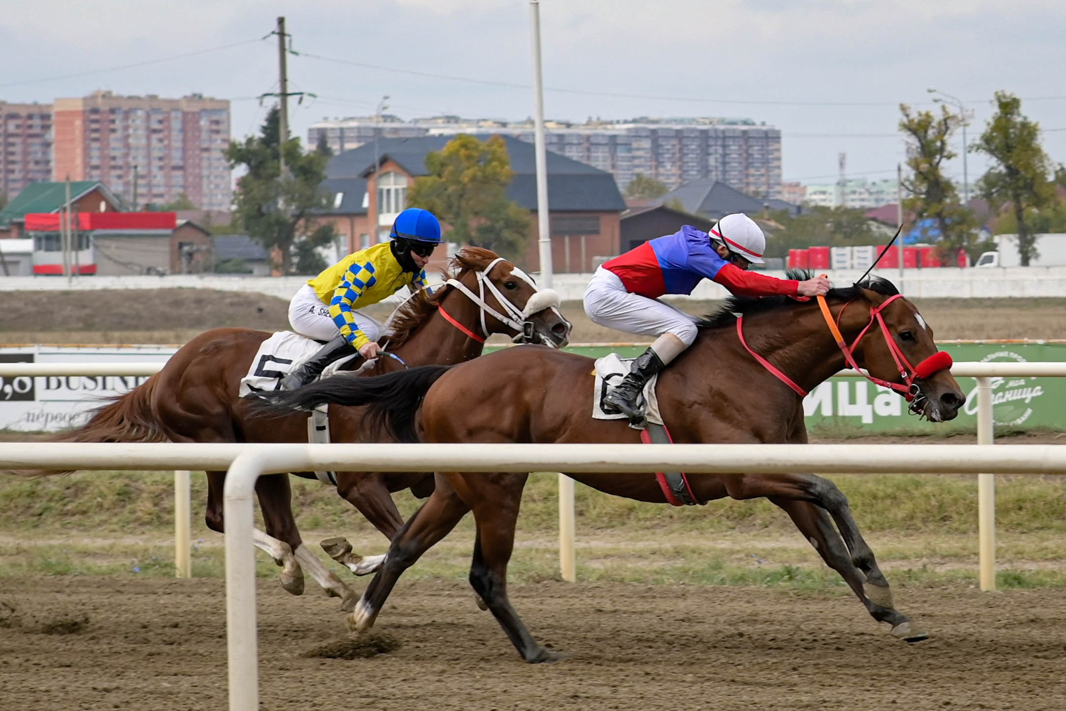 Закрытие скакового сезона 2024 г. Краснодар. Фотограф Краснодар Наталья Сувит