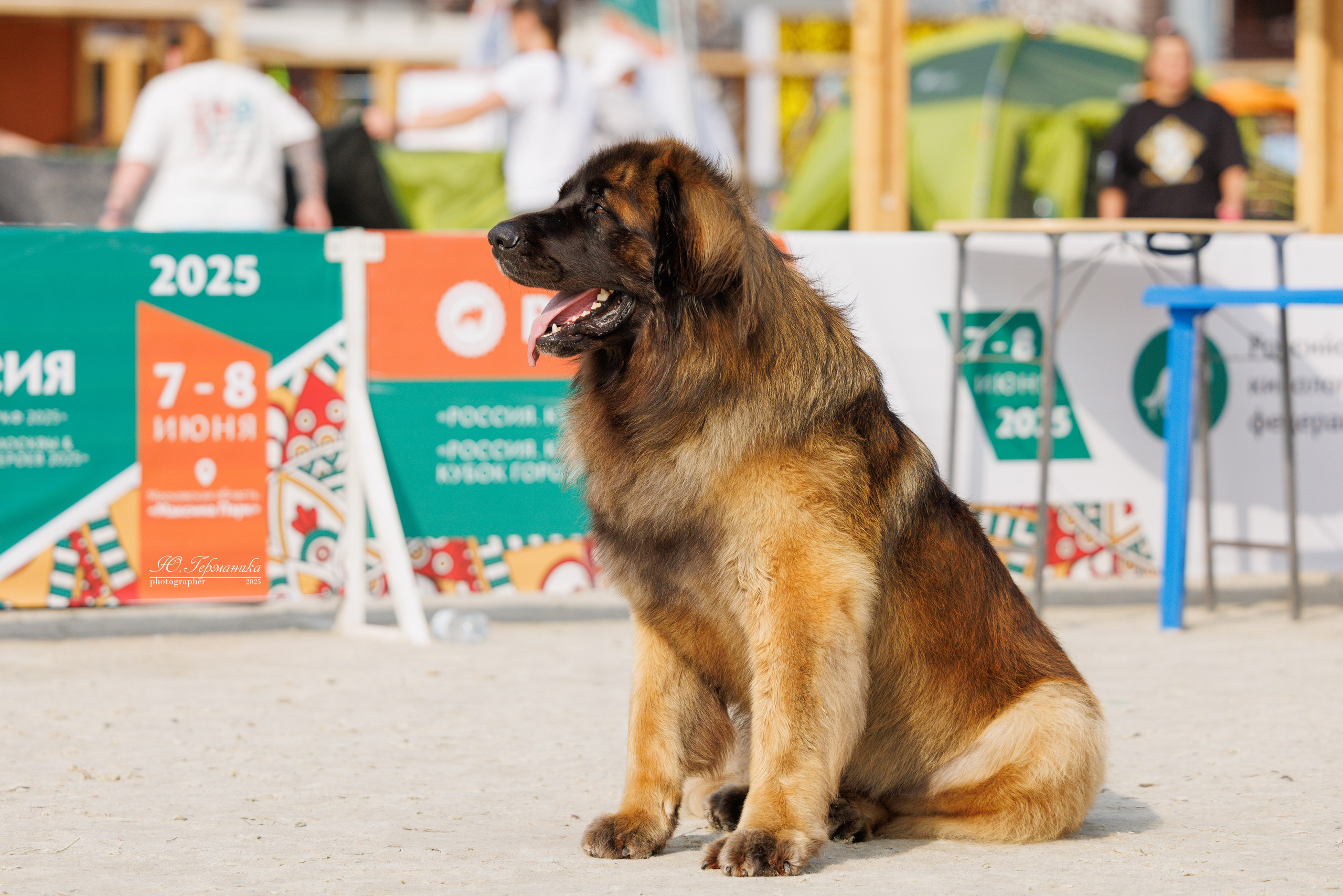 РОССИЯ 7-8.06.2025. Фотограф-анималист Юлия Германика
