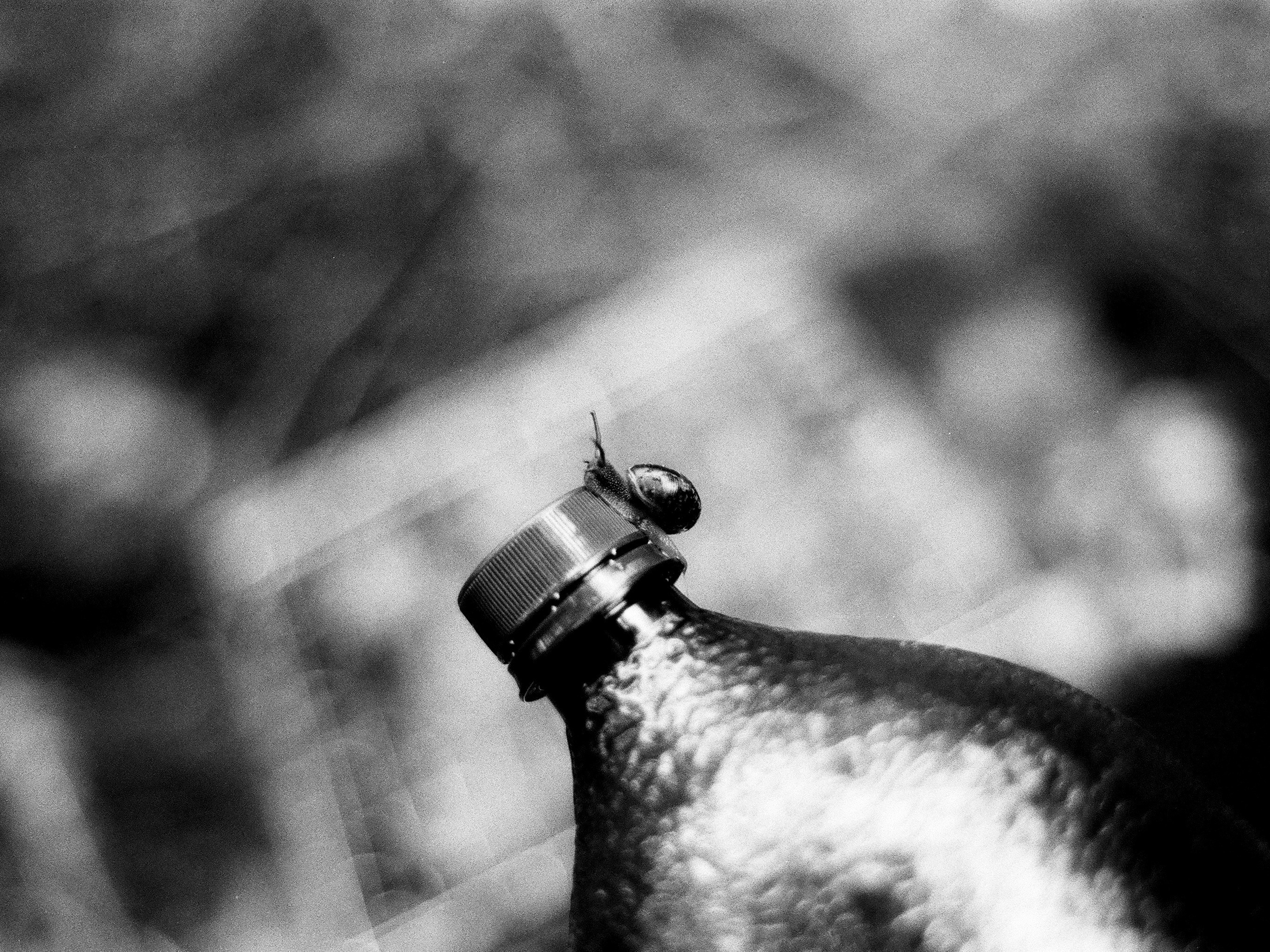 Film. Ruslan UI Dev Page