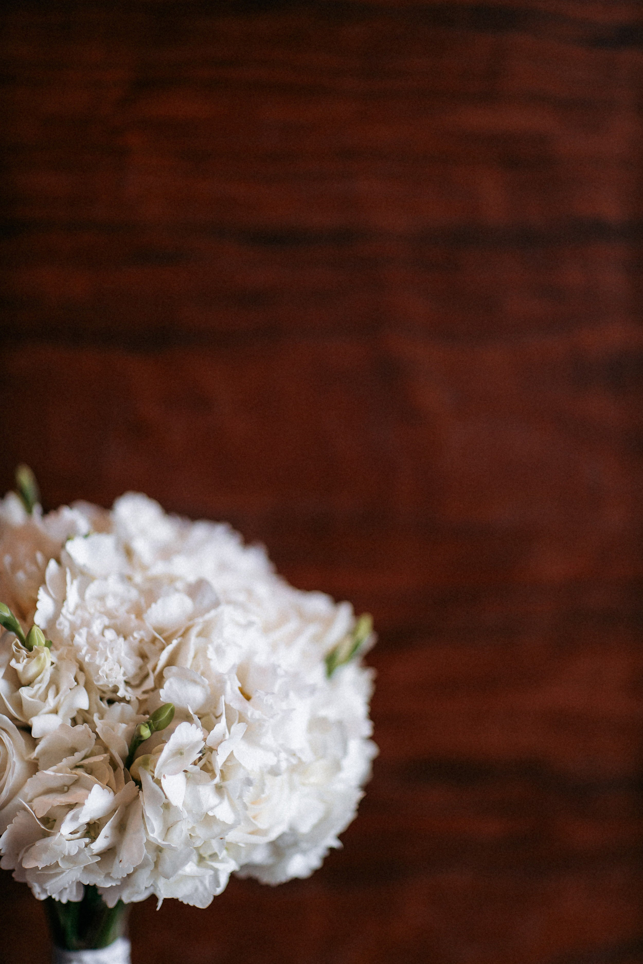 M&V. Фотограф Карина Гюльхаджан