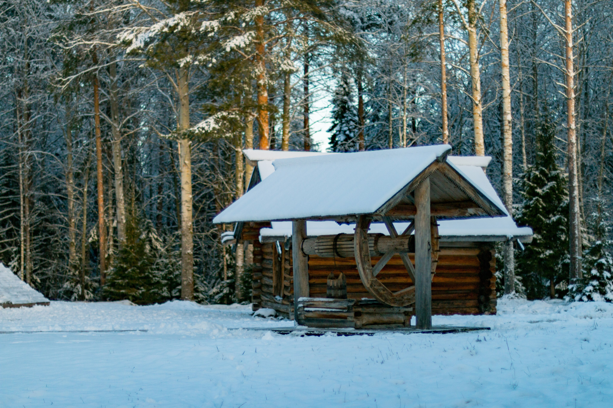Русский Север, Малые карелы. Фотограф в Сочи